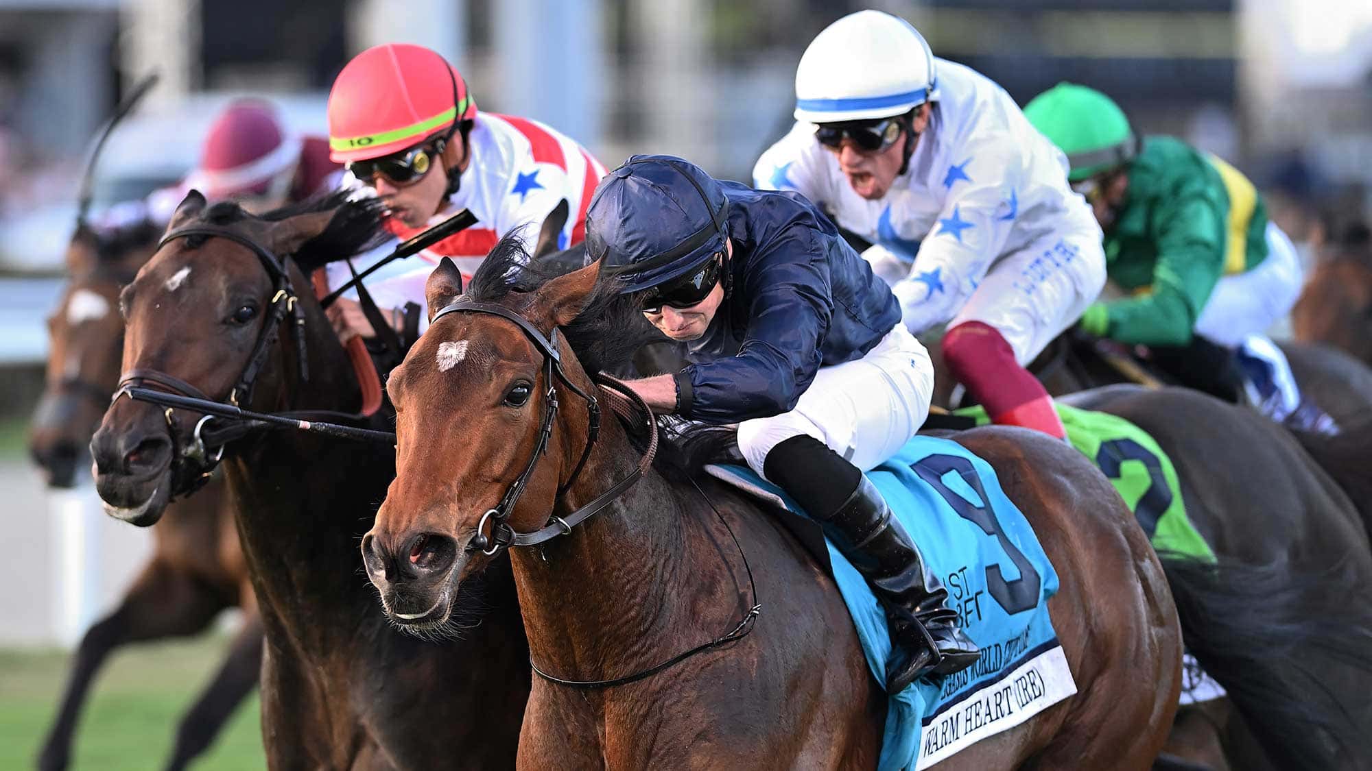 Warm-Heart-the-PWC-turf