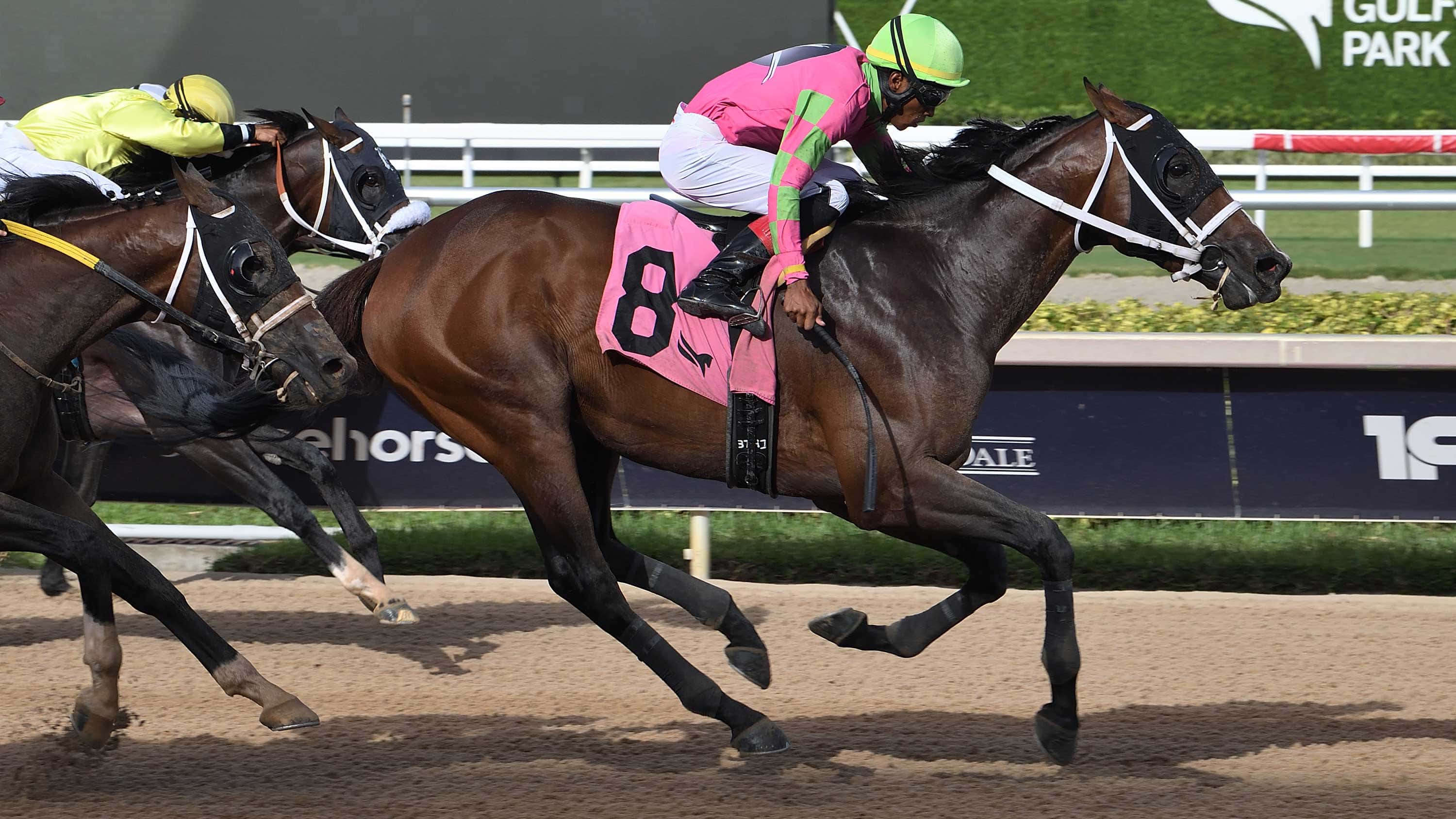 Legacy-Isle-the-Tackleberry