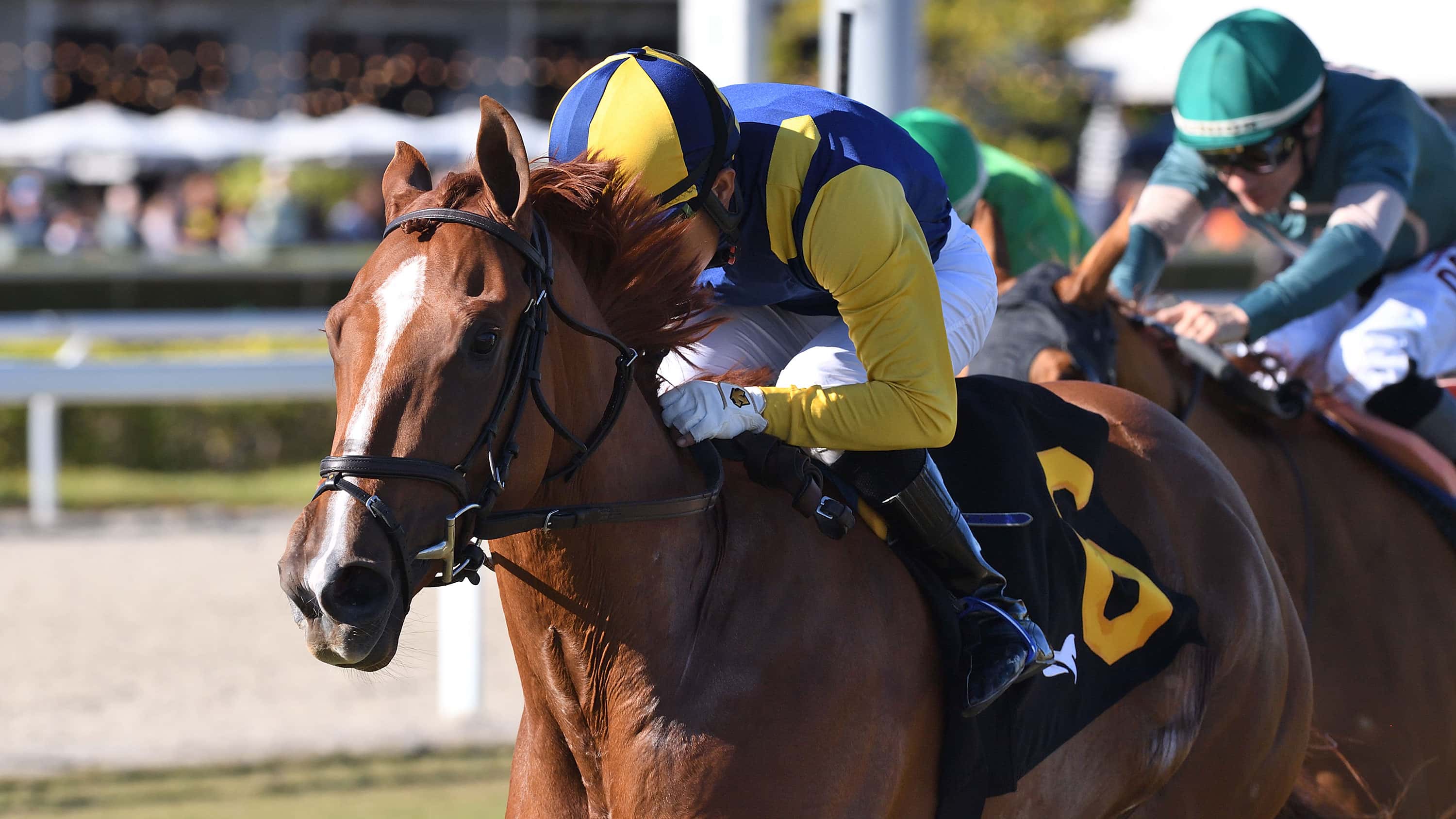 Sister Troienne Makes It Four Straight in $175,000 Ginger Brew
