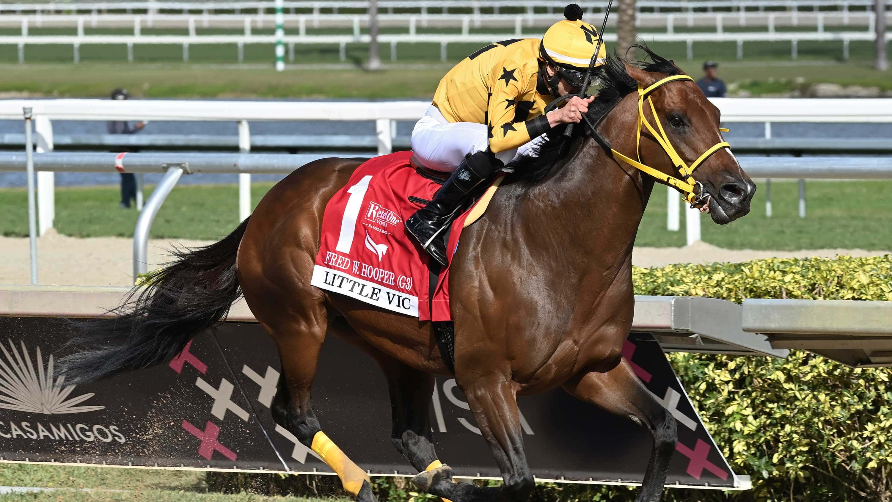 Little-Vic-the-Fred-Hooper