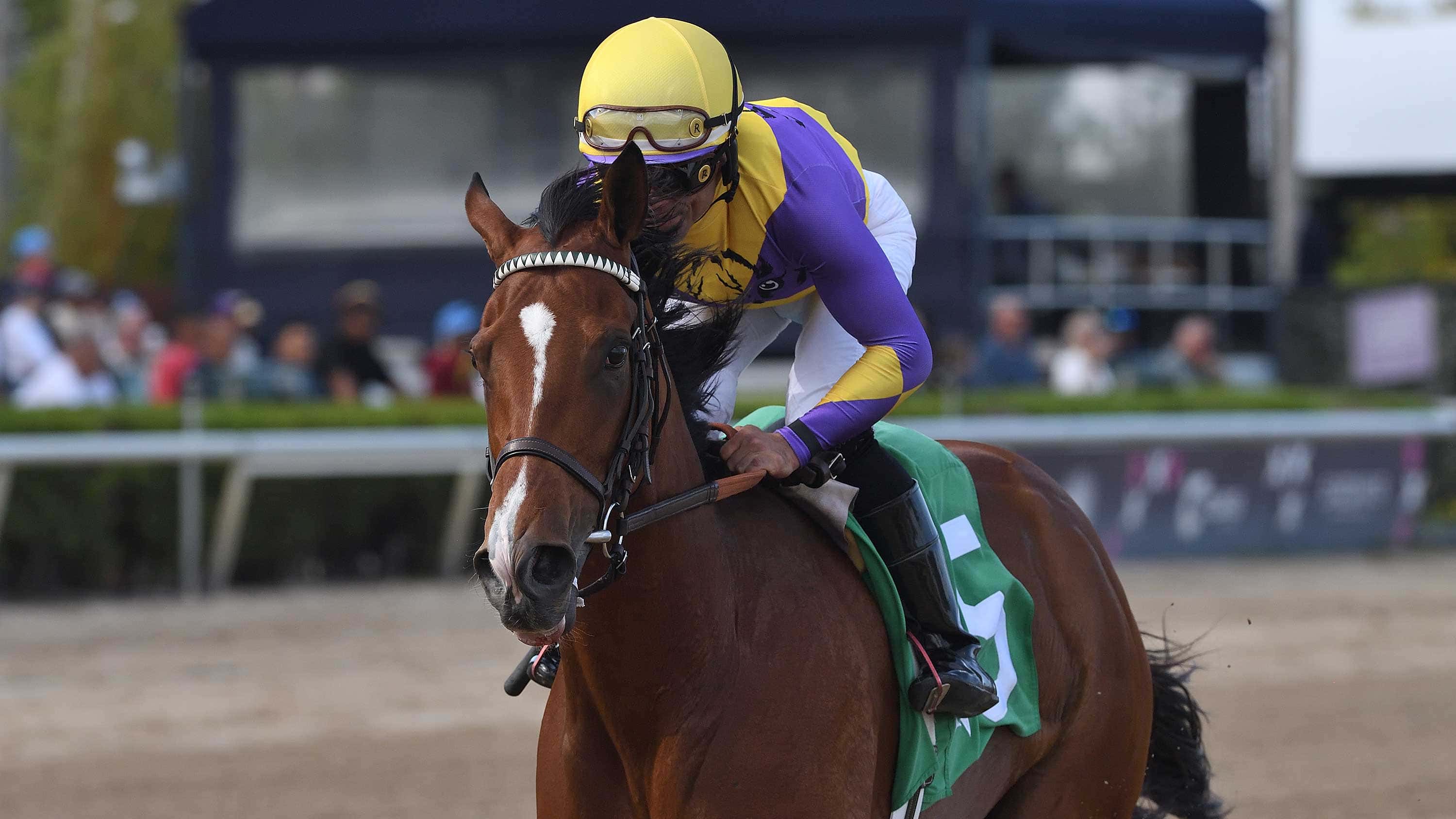 Grand Job Impressive in Friday Feature Victory