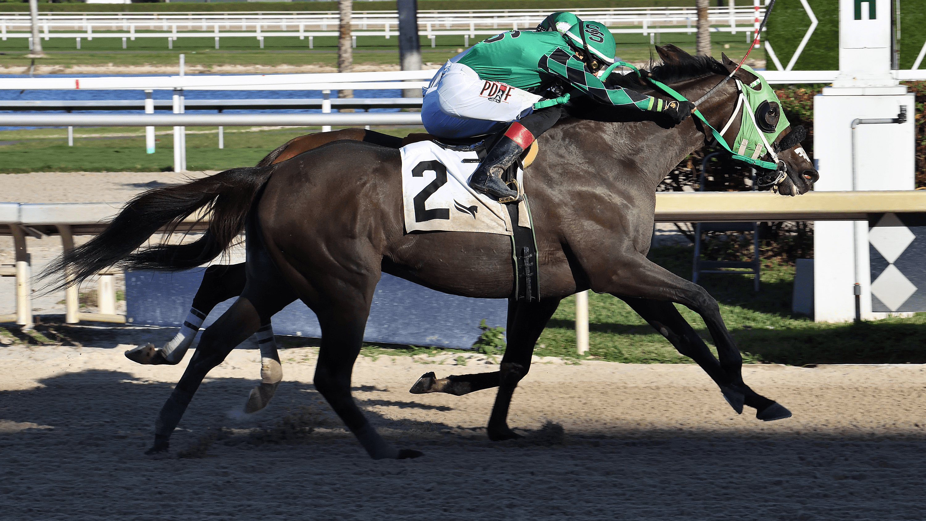 Lure-Him-In-the-Sunshine-Classic-