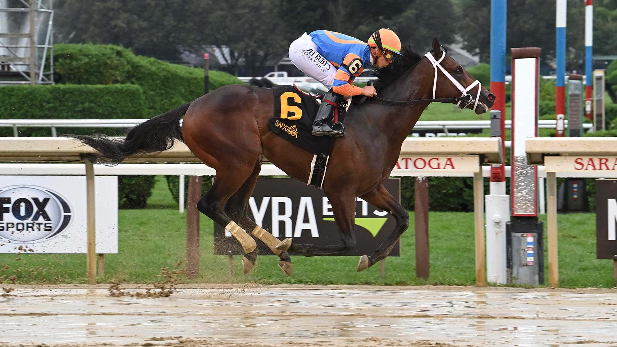 Fierceness Tops Field Entered for Saturday’s G3 Holy Bull