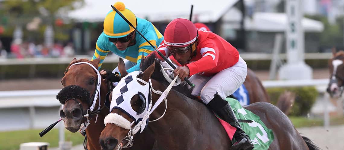 Glorious Boy Awarded Pulpit Win Following Dead-Heat