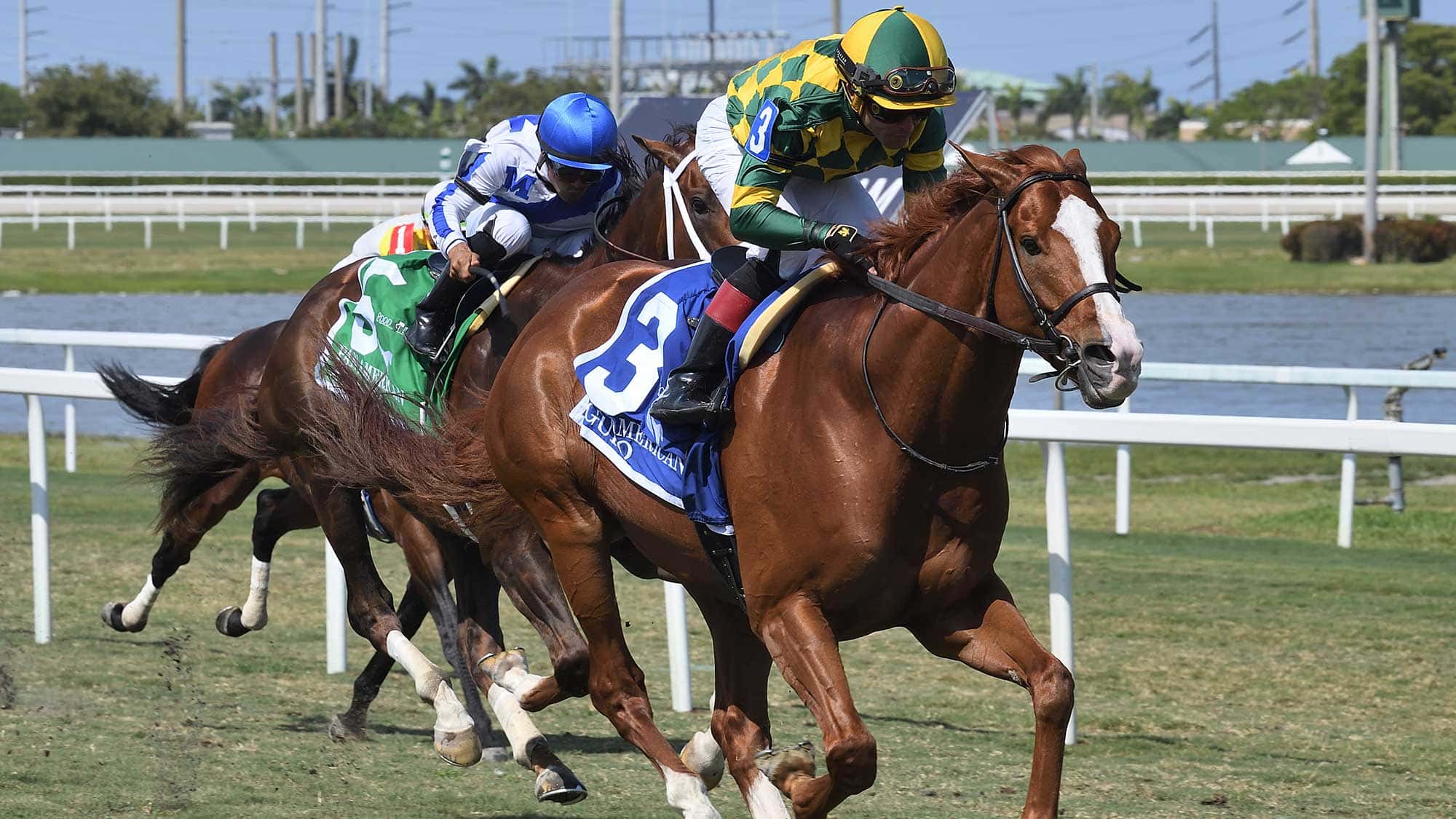 Gufo-the-Pan-American