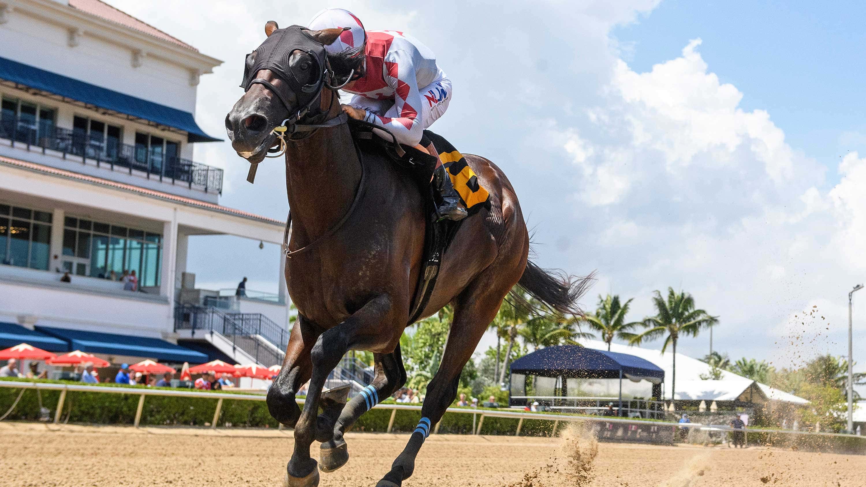 Biancone-Trained Juvenile Real Gone Graduates in Style