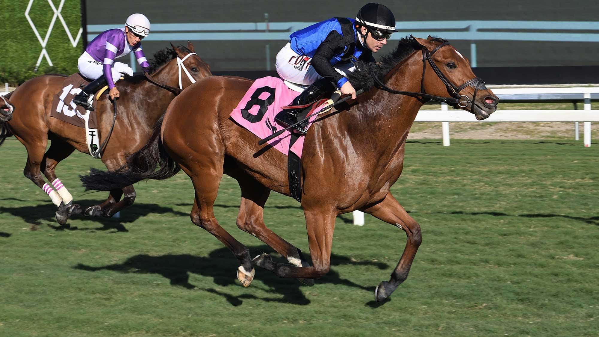 Stone-Silent-the-Abundantia-0