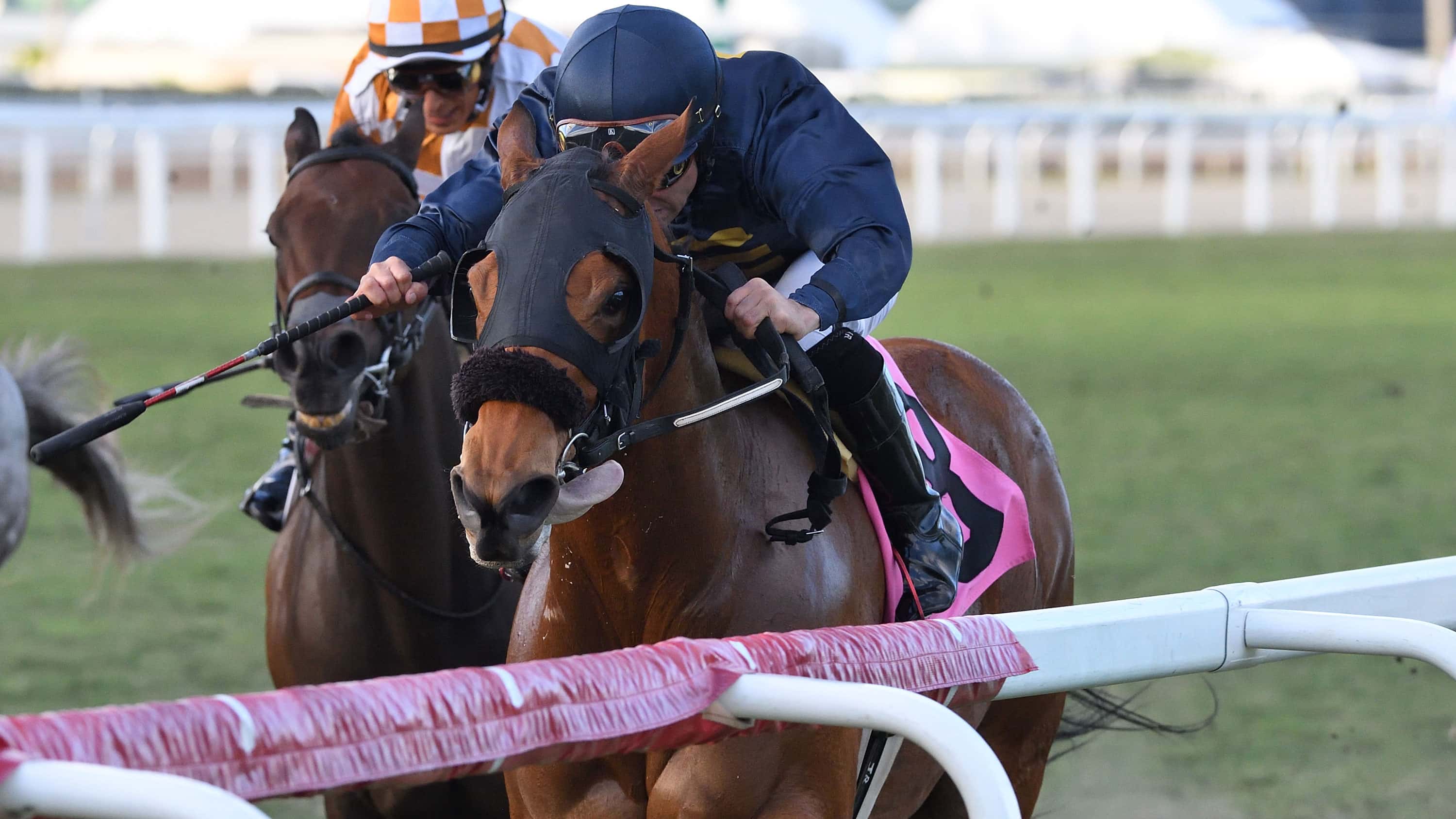 Eponas-Hope-the-Ladies-Turf-Sprint-