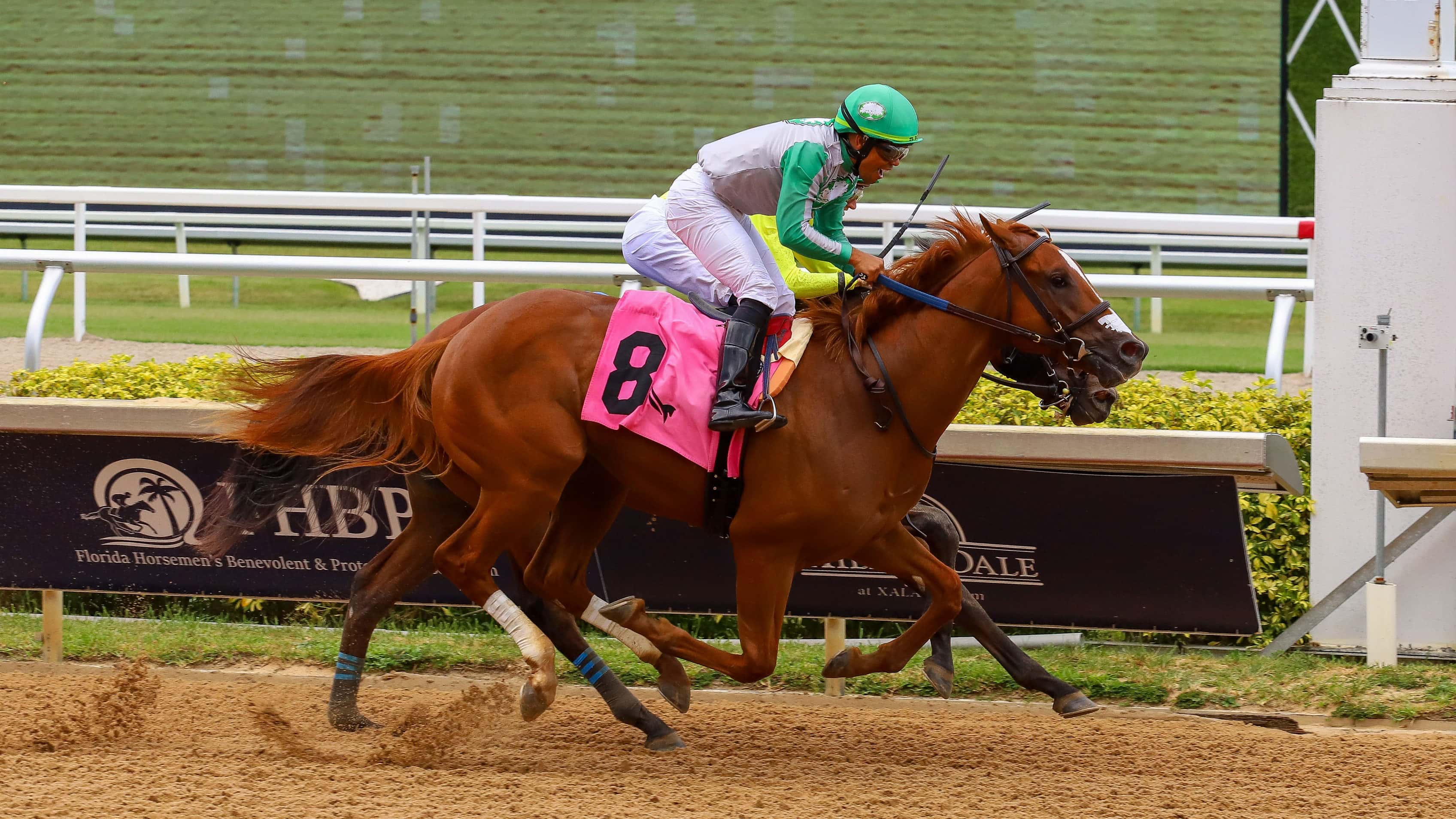 Watson “rompe el maiden” en “The Proud Man Stakes”