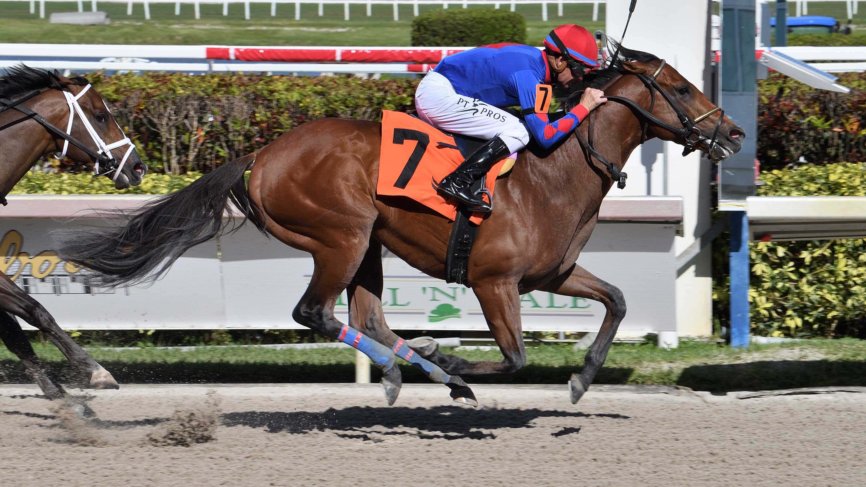 Rainbow 6 Jackpot Pool Guaranteed Sunday at 600k