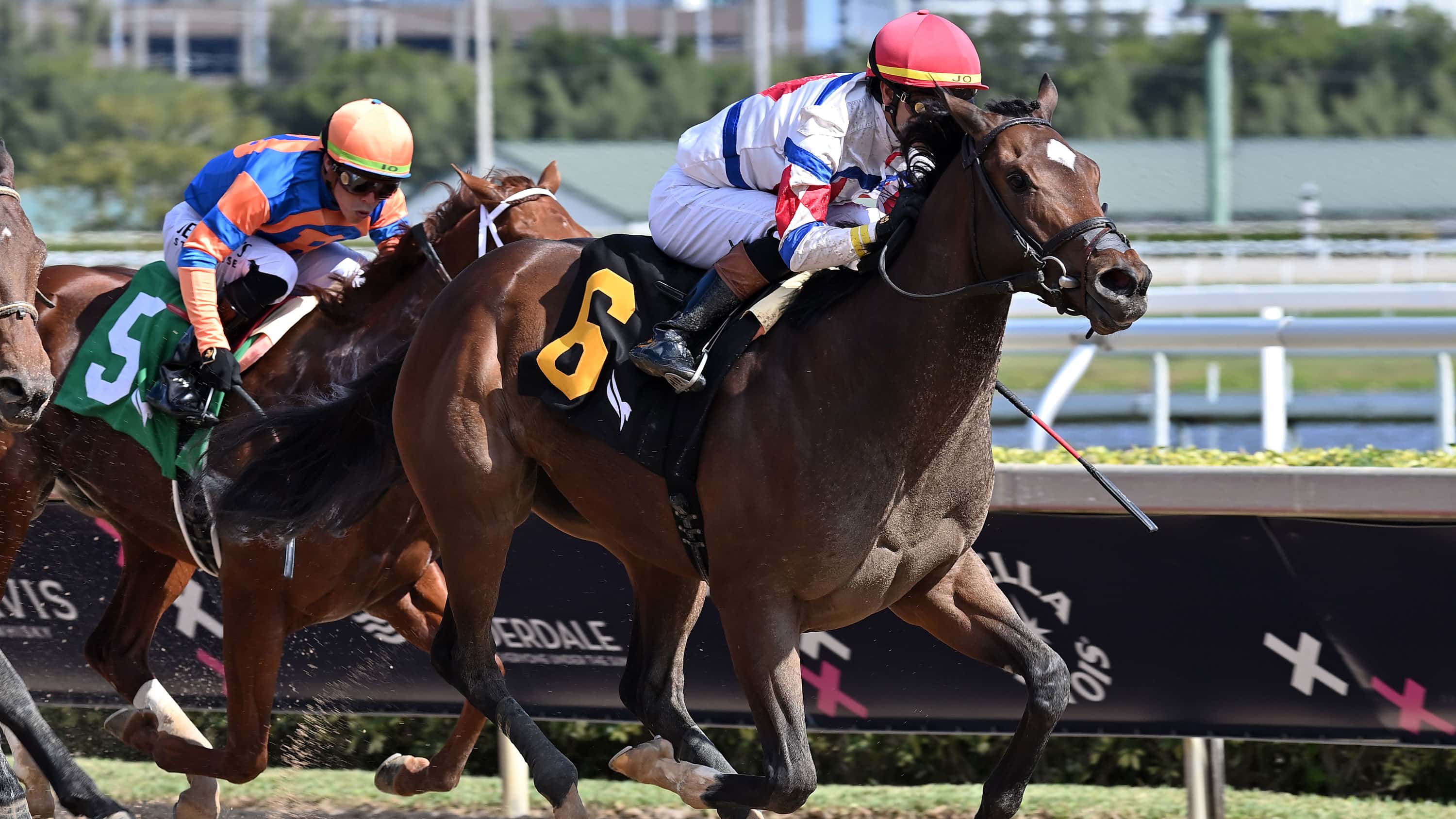 Jimmys-Dailys-1.25.25