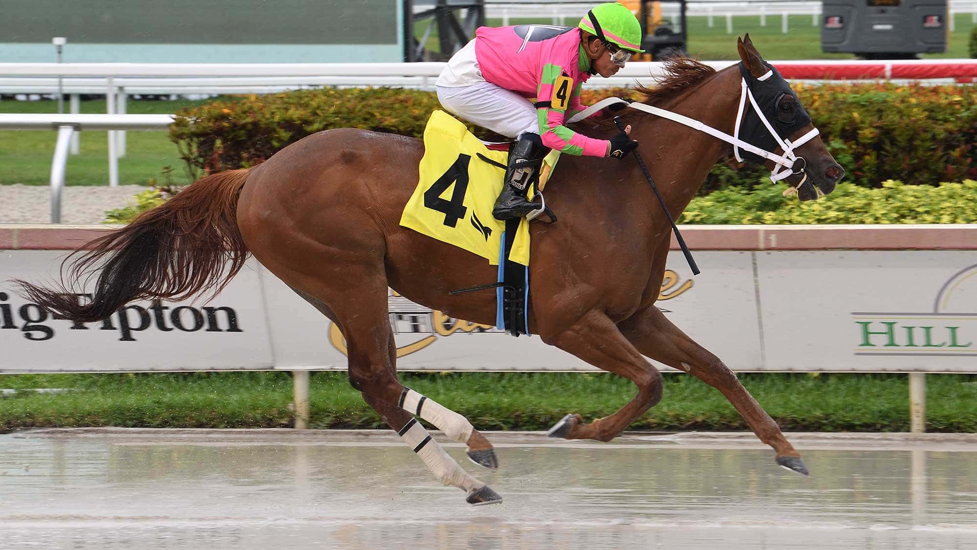 Absolute-Grit-the-Cooper-City