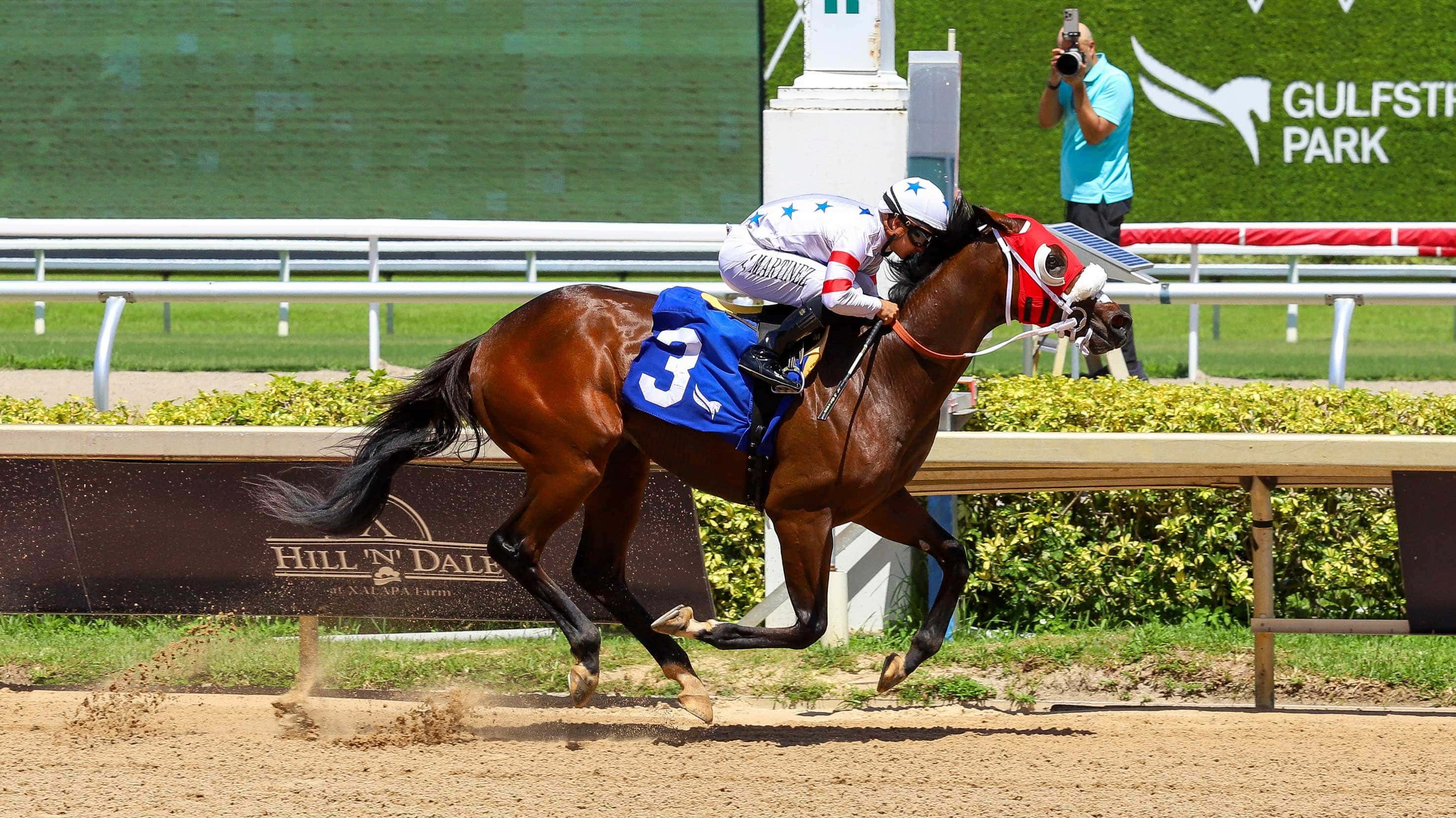 Sum of Success deslumbra en “The In Summation Stakes” y mantiene su invicto