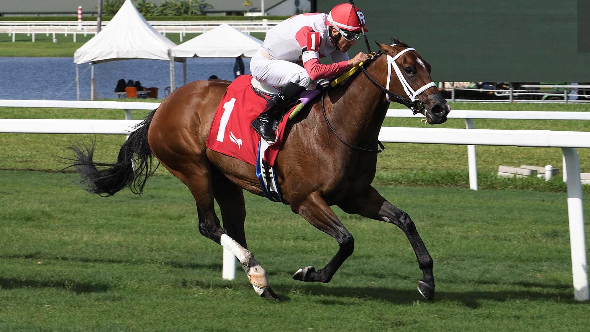 Sister-Lou-Ann-the-Martha-Washington-2