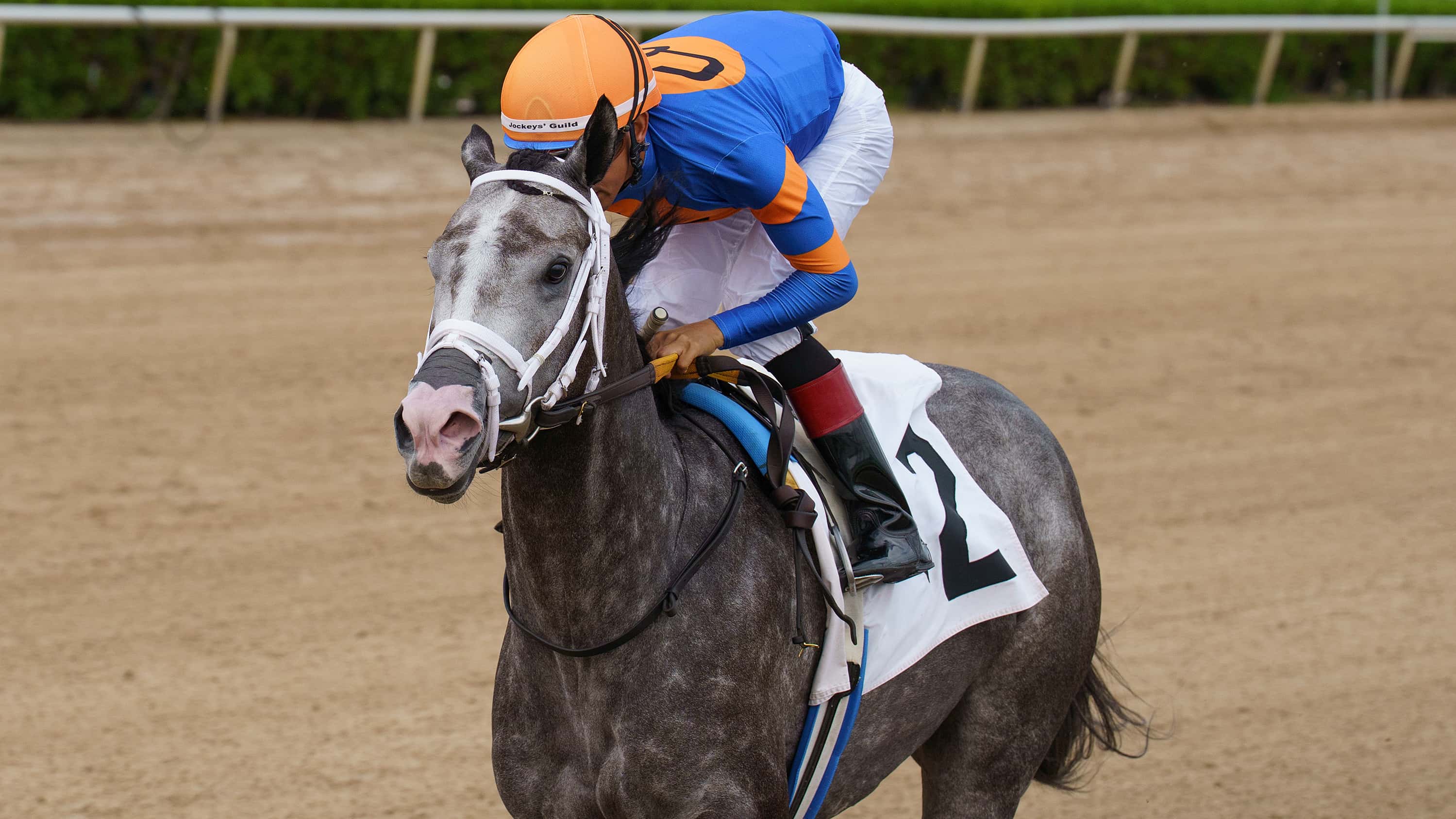 Haulin-Ice-the-Princess-Rooney