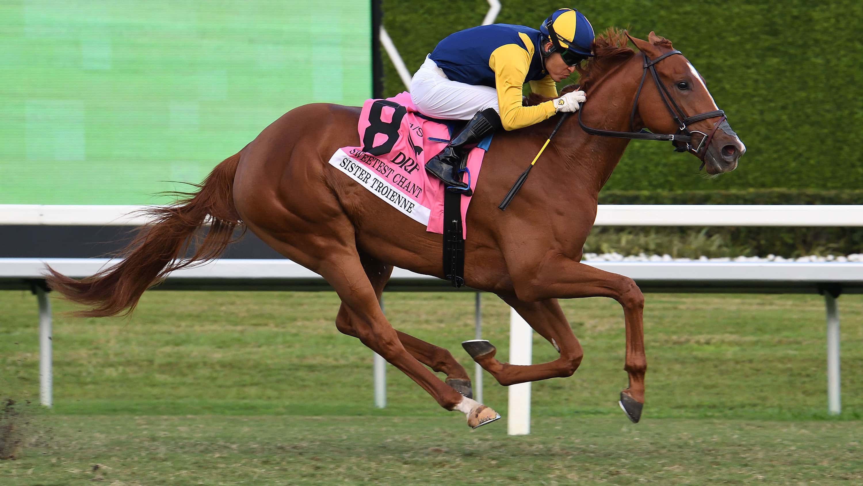 Sister-Troienne-the-Sweetest-Chant-