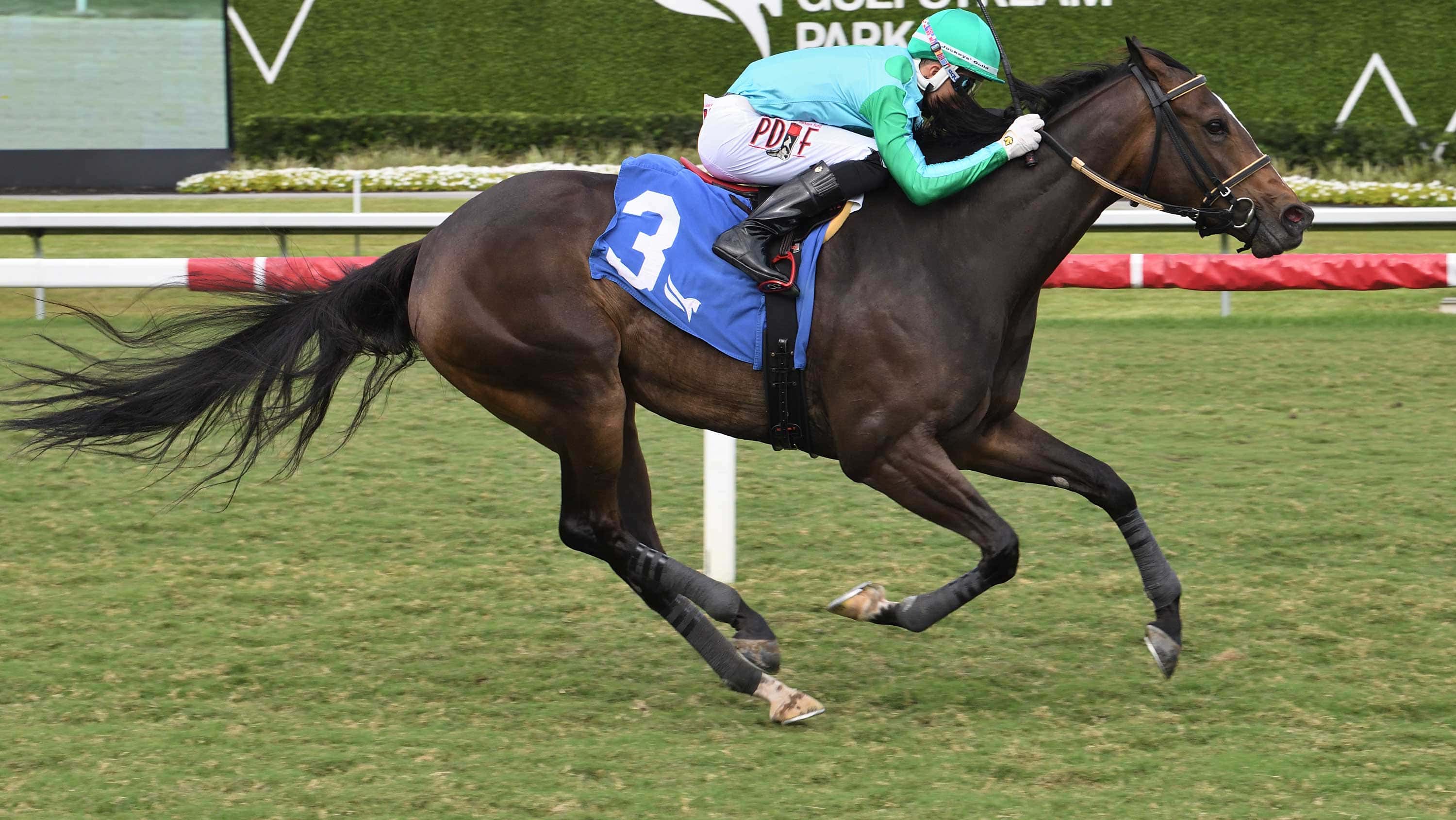 Do Gooder Back on Gulfstream Turf for Frolic’s Revenge