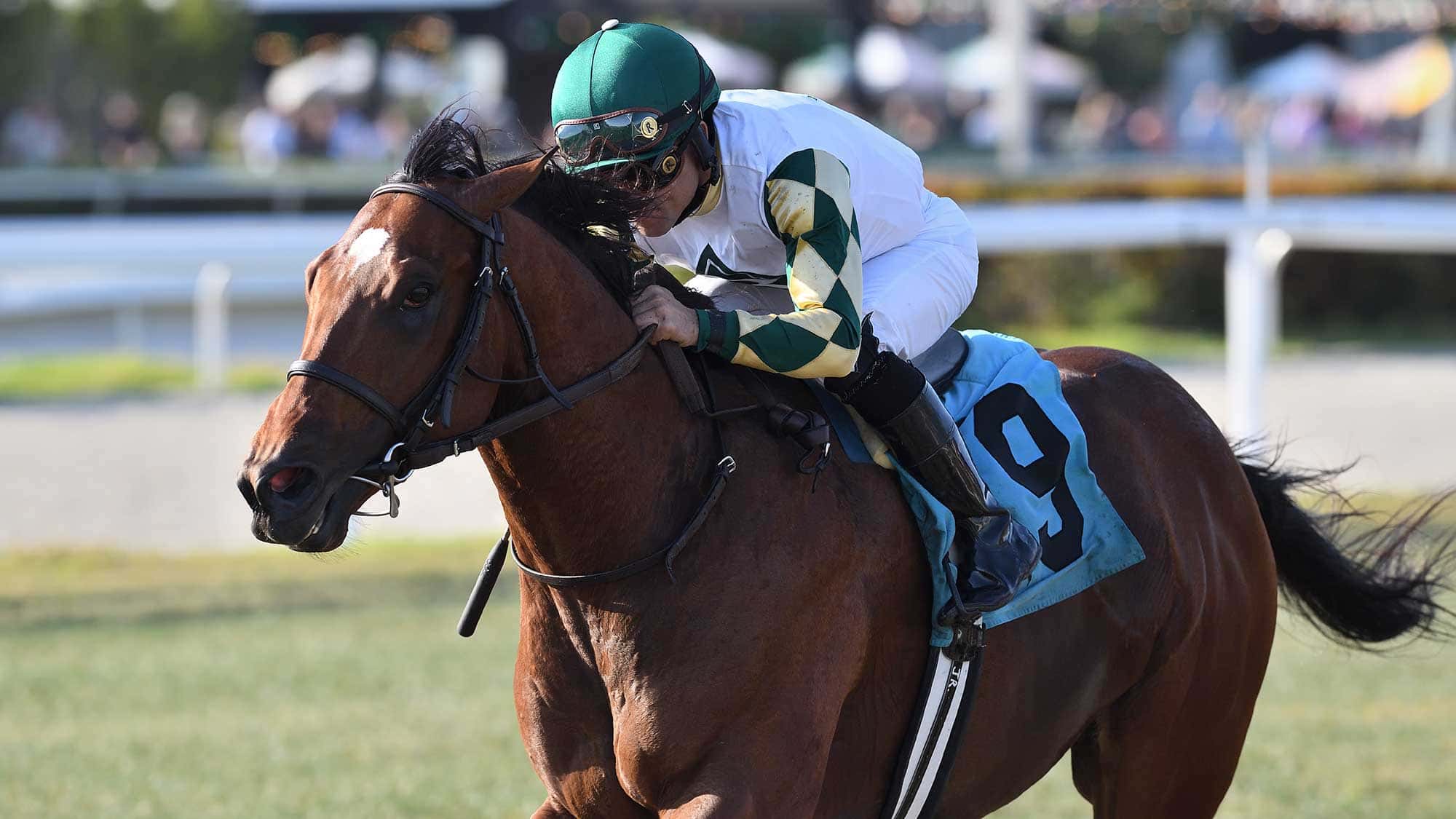 Big-Invasion-the-Silks-Run-0