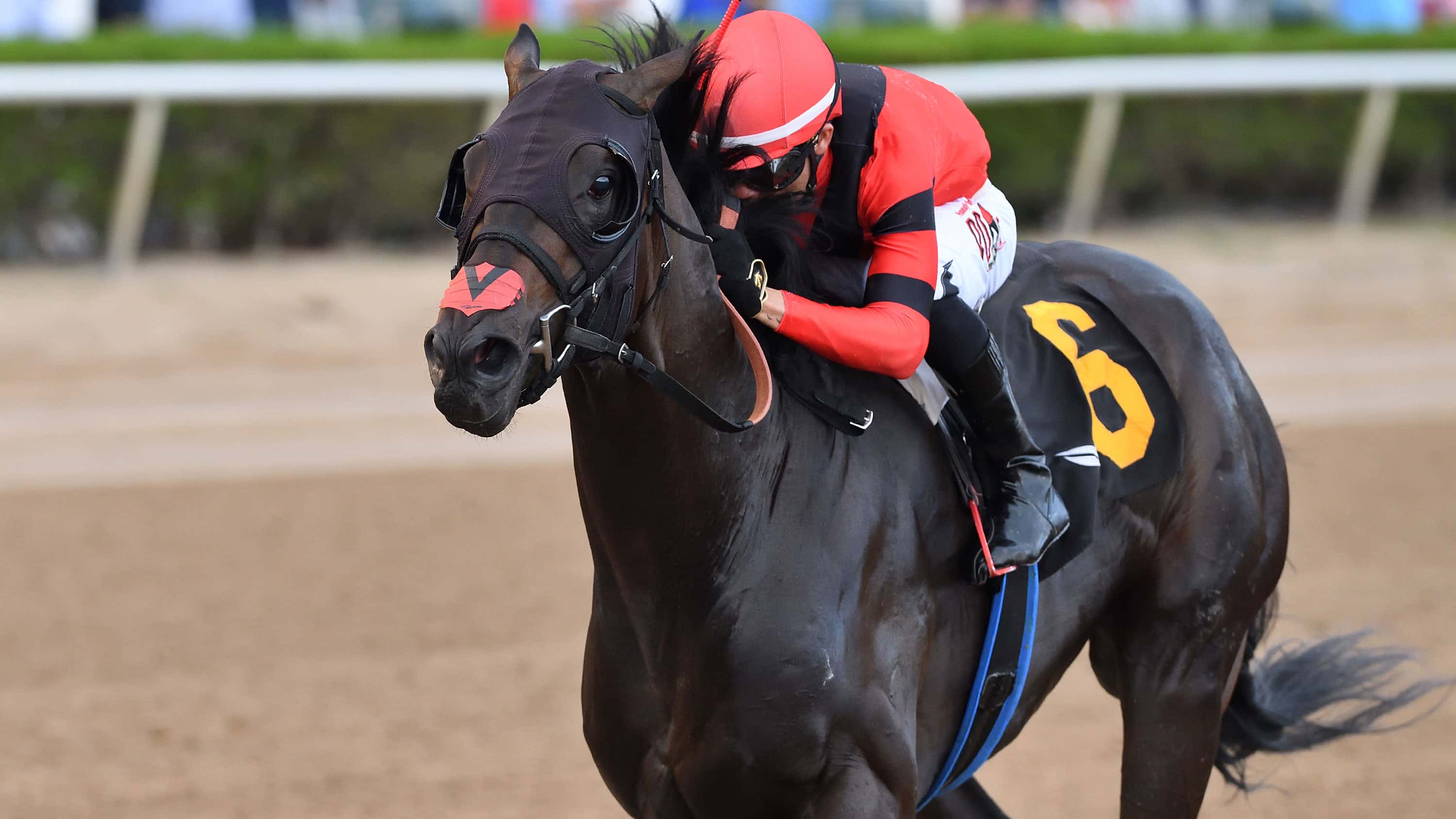 Fulmine-the-Hutcheson2