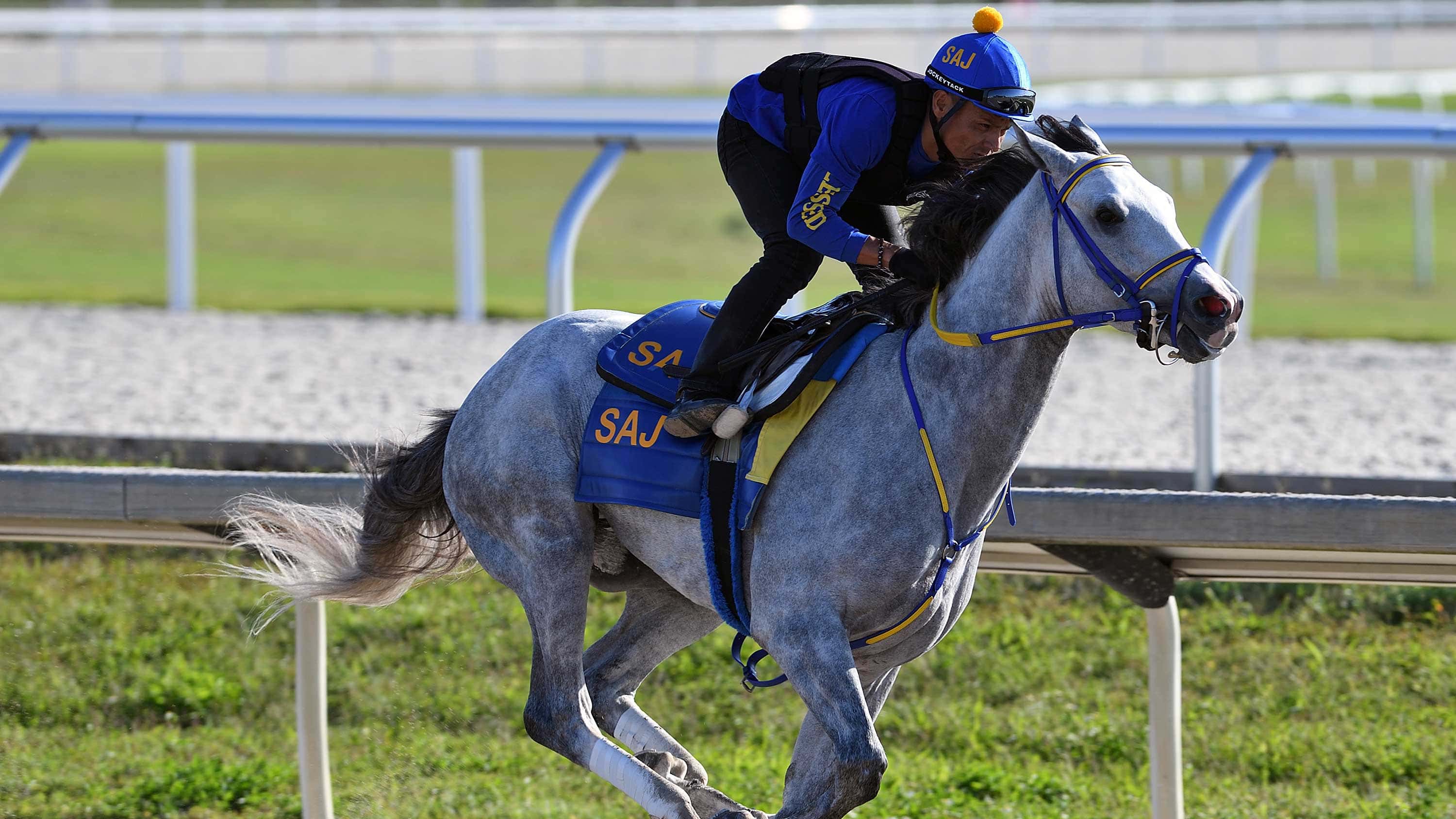 White Abarrio Confirmed for Curlin Florida Derby