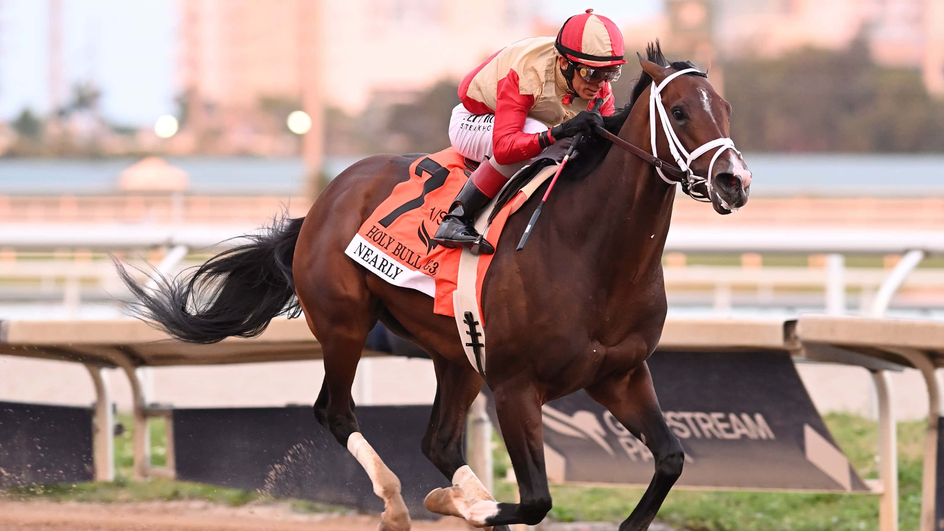 Nearly-the-Holy-Bull-