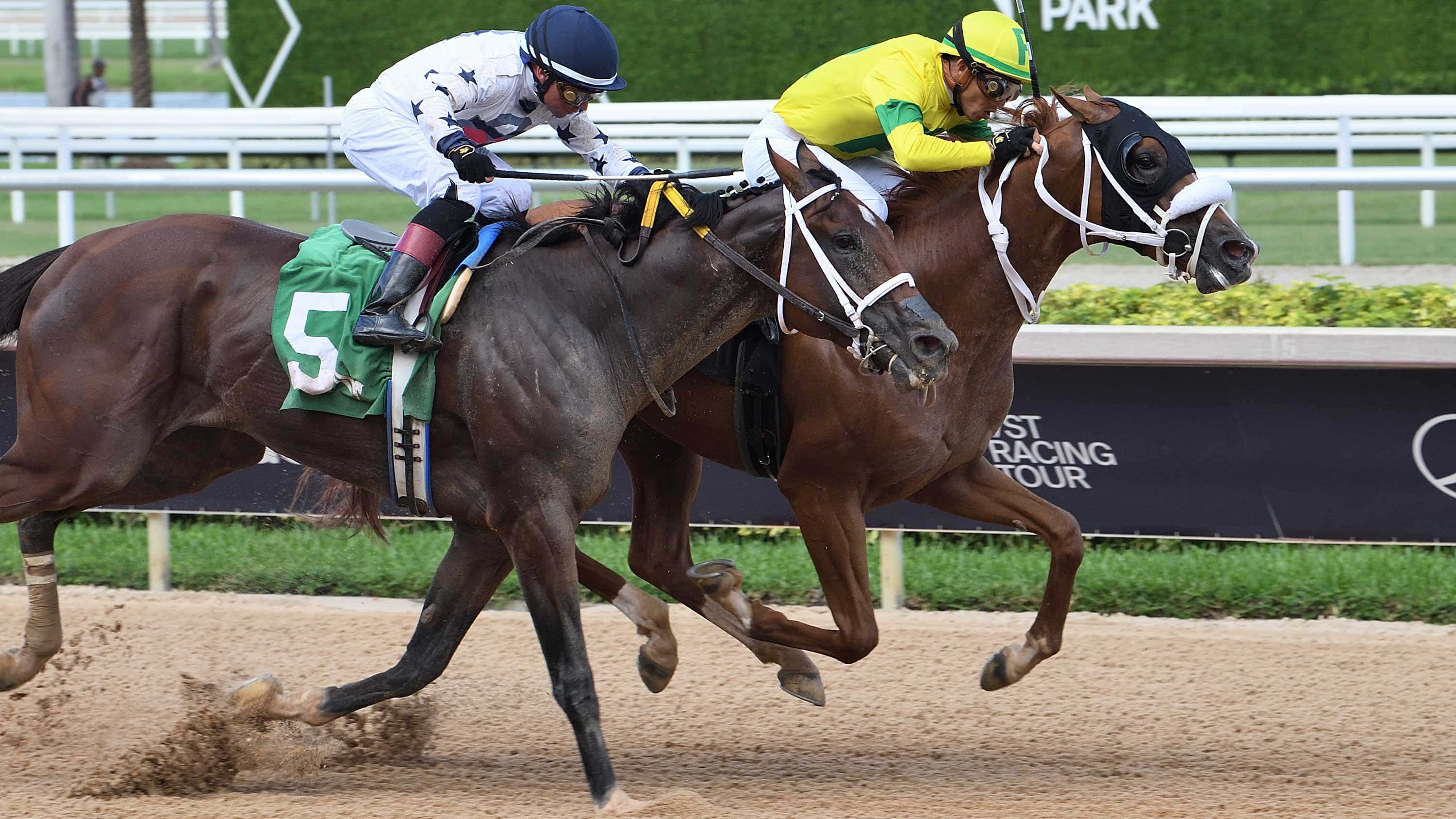 Real-Macho-the-Carry-Back-2