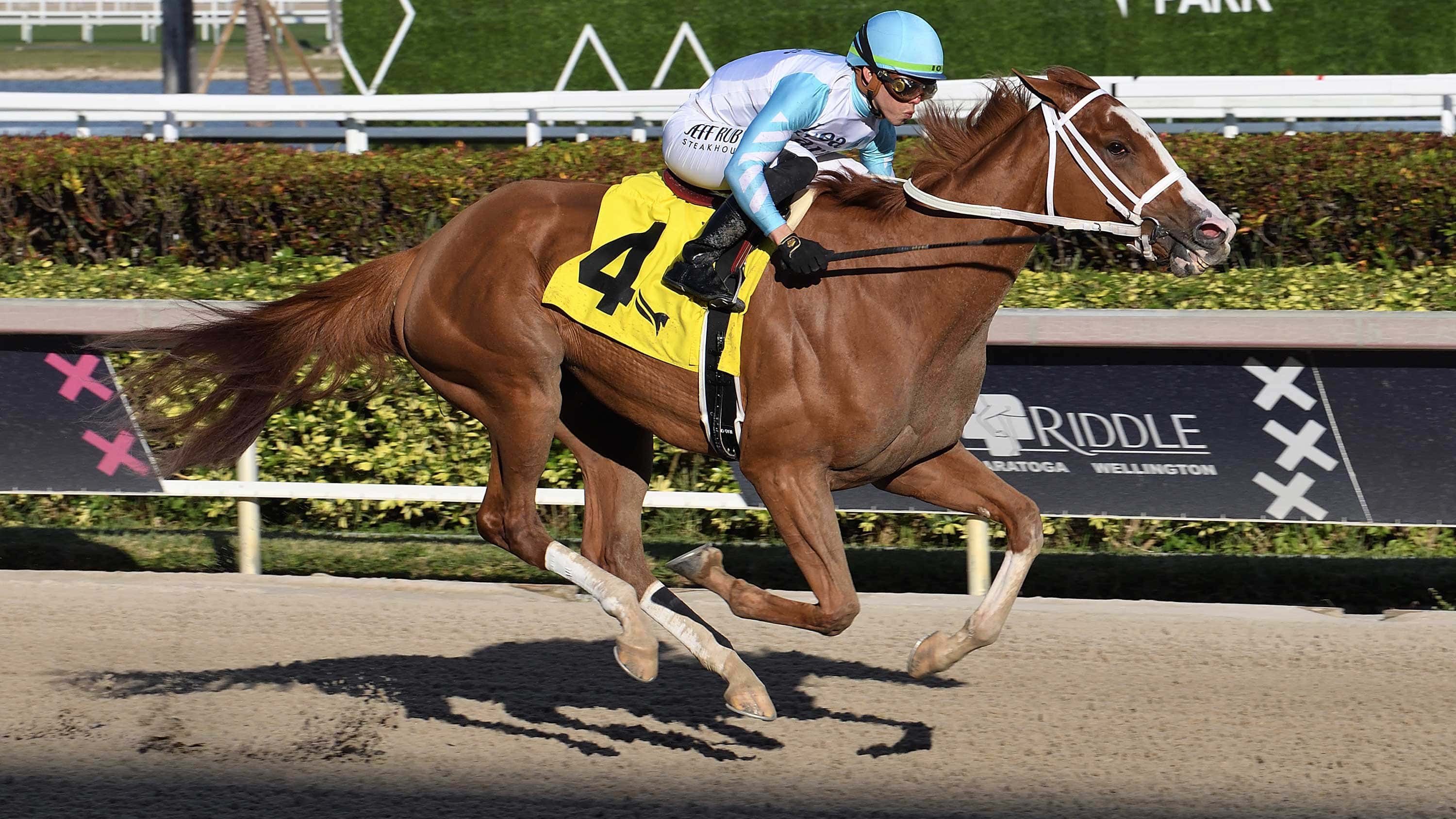 Power-Squeeze-the-Cash-Run-