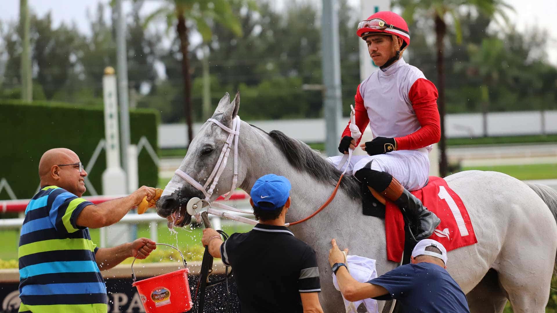Heir to the Roar supera contratiempos y confirma su favoritismo en la sexta del lunes