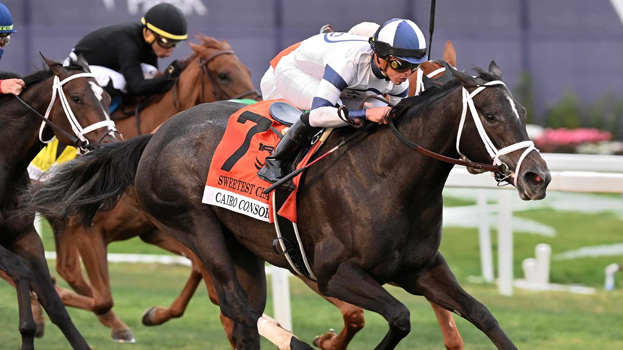 Cairo-Consort-the-Sweetest-Chant