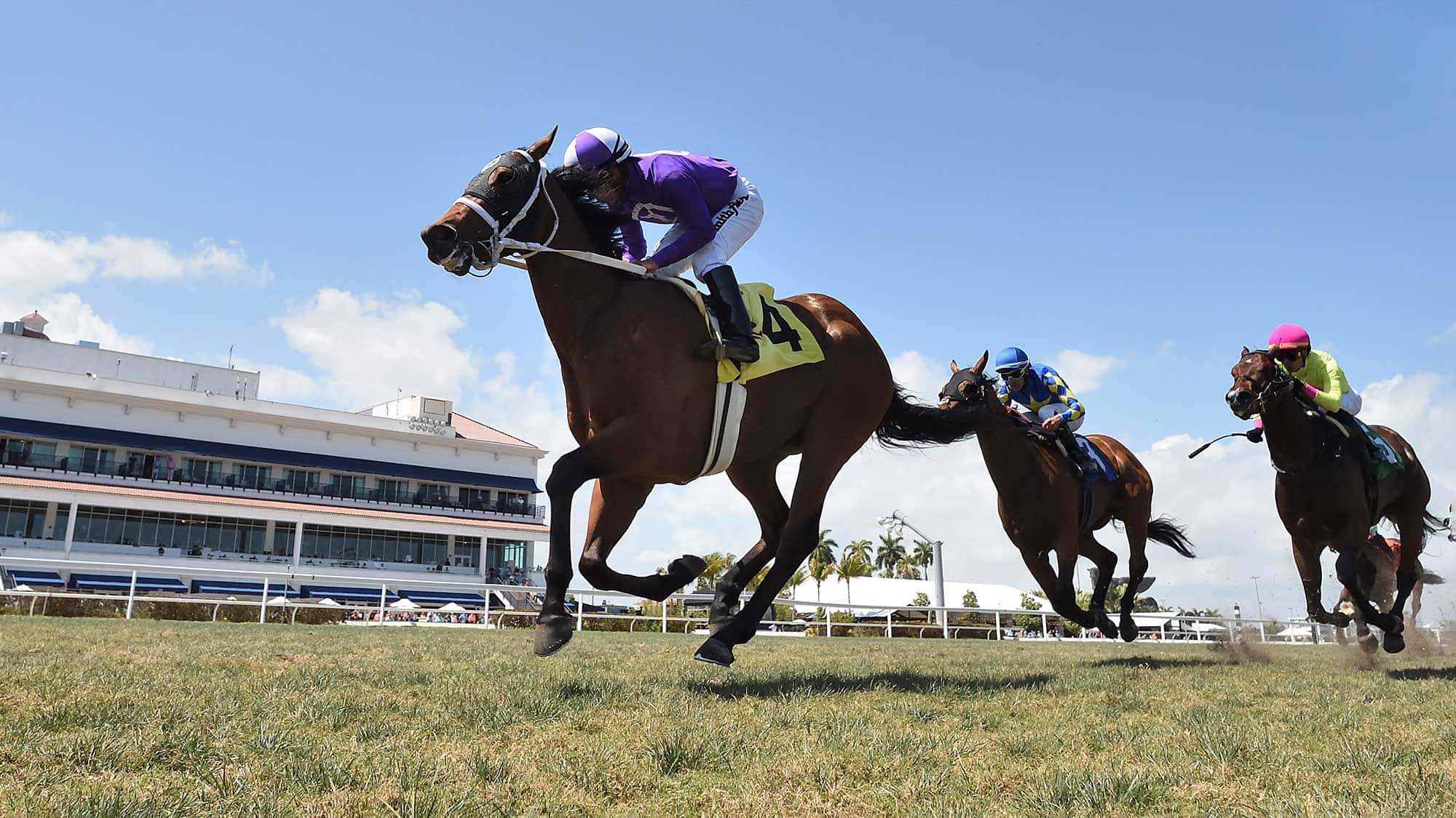 Crispy-Cat-the-Texas-Glitter