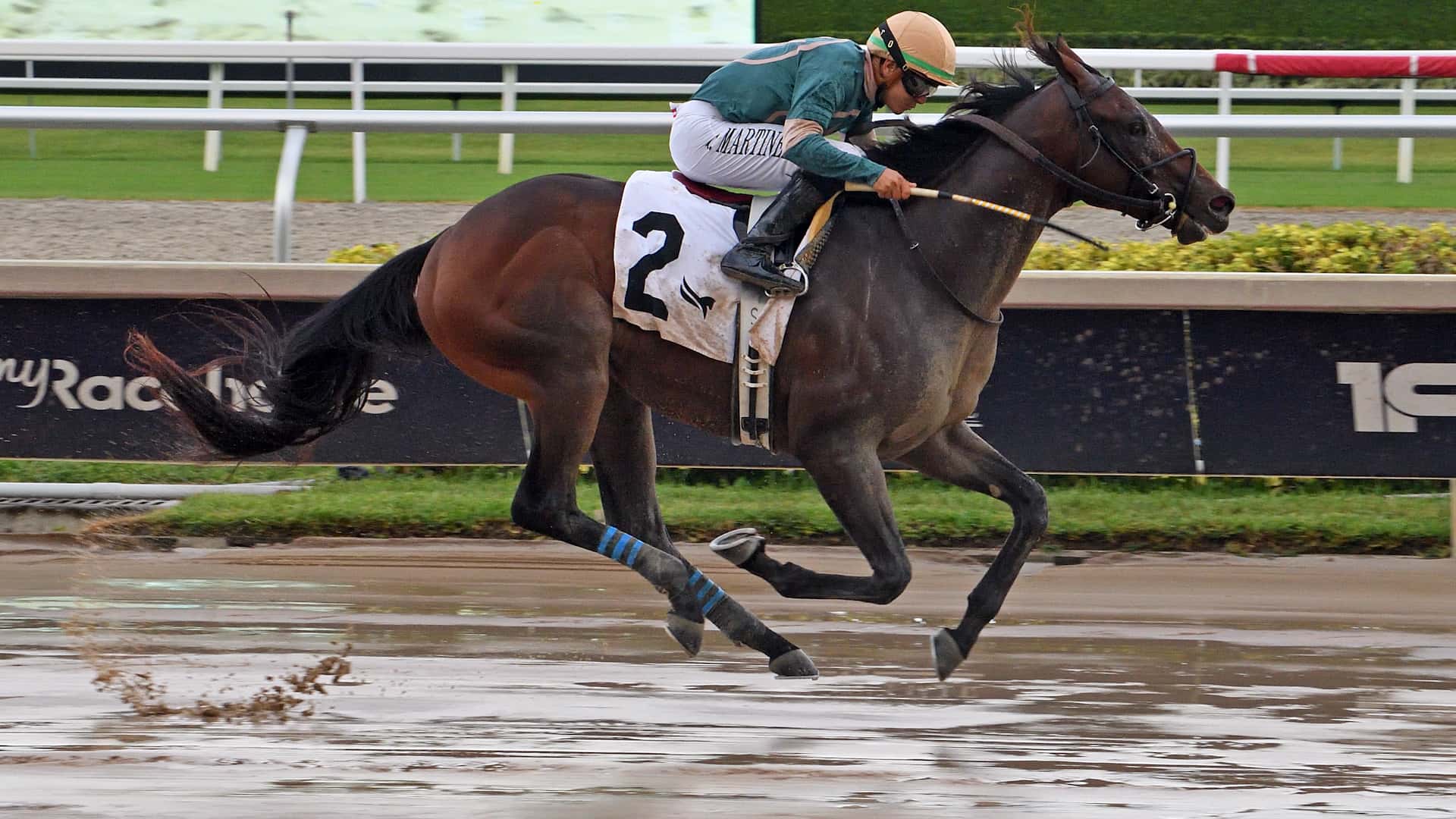 Diciassette-The-Proud-Man