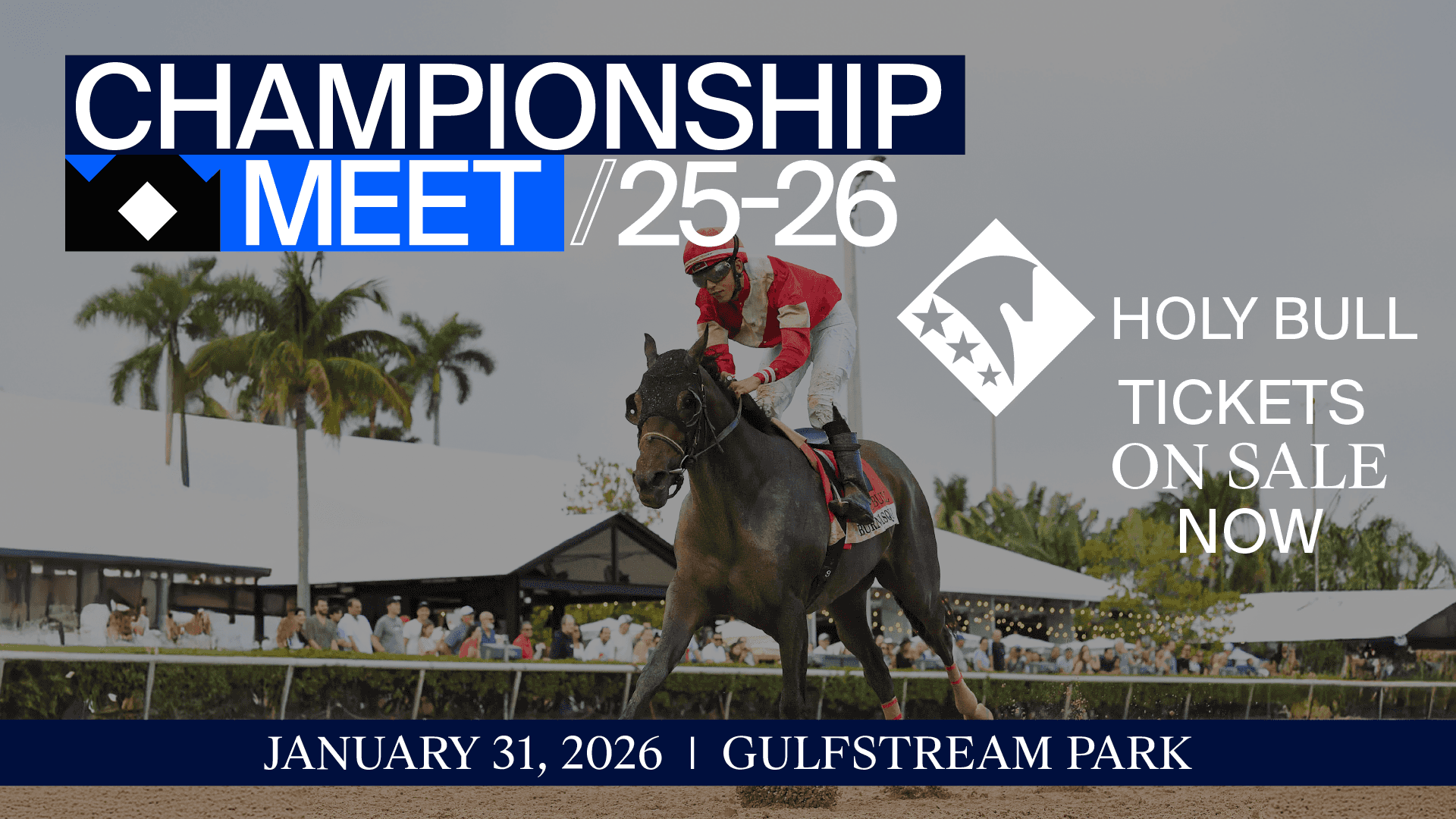 Holy Bull 1920x1080 background asset