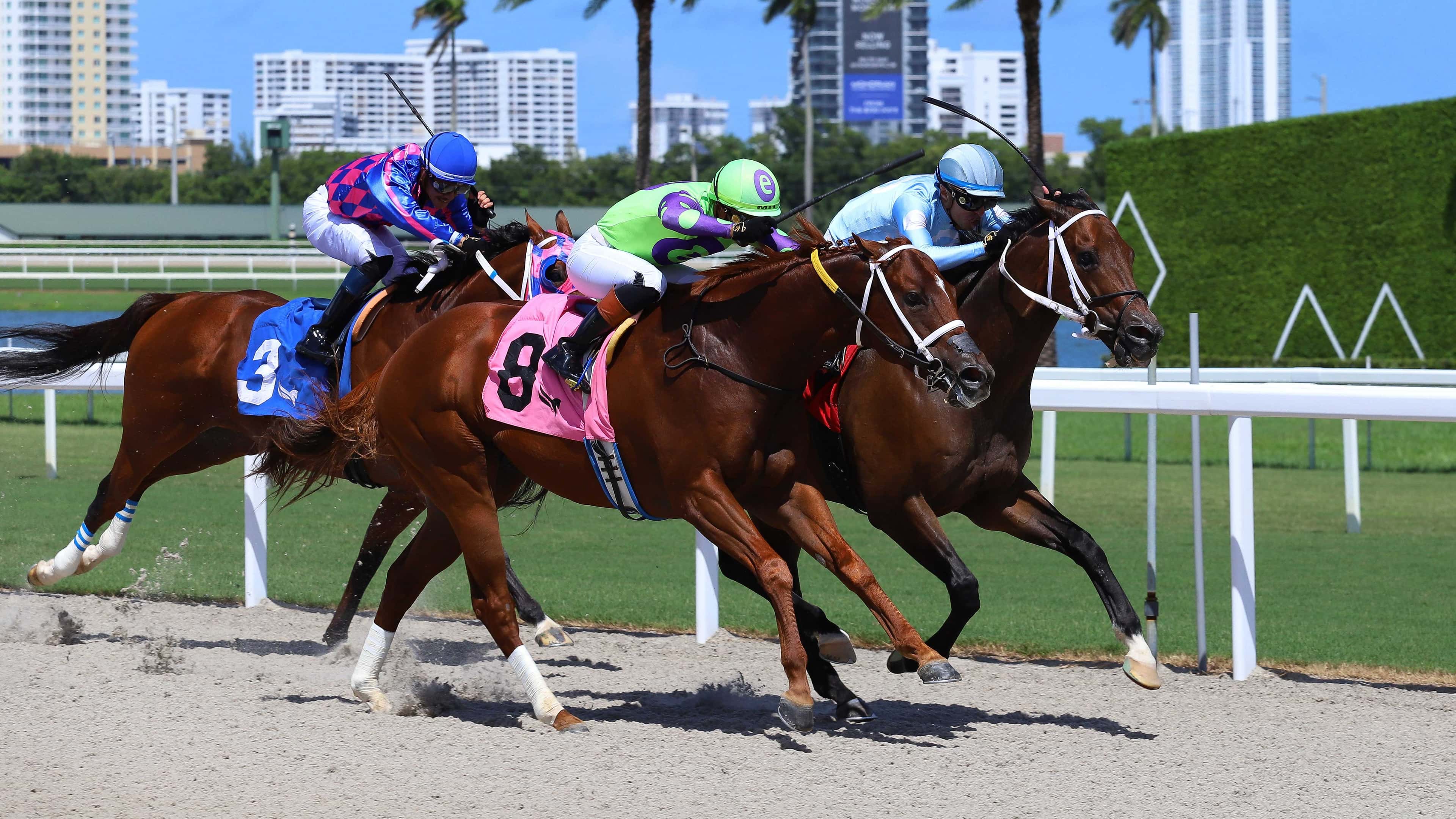 The-Chasing-Artie-Handicap