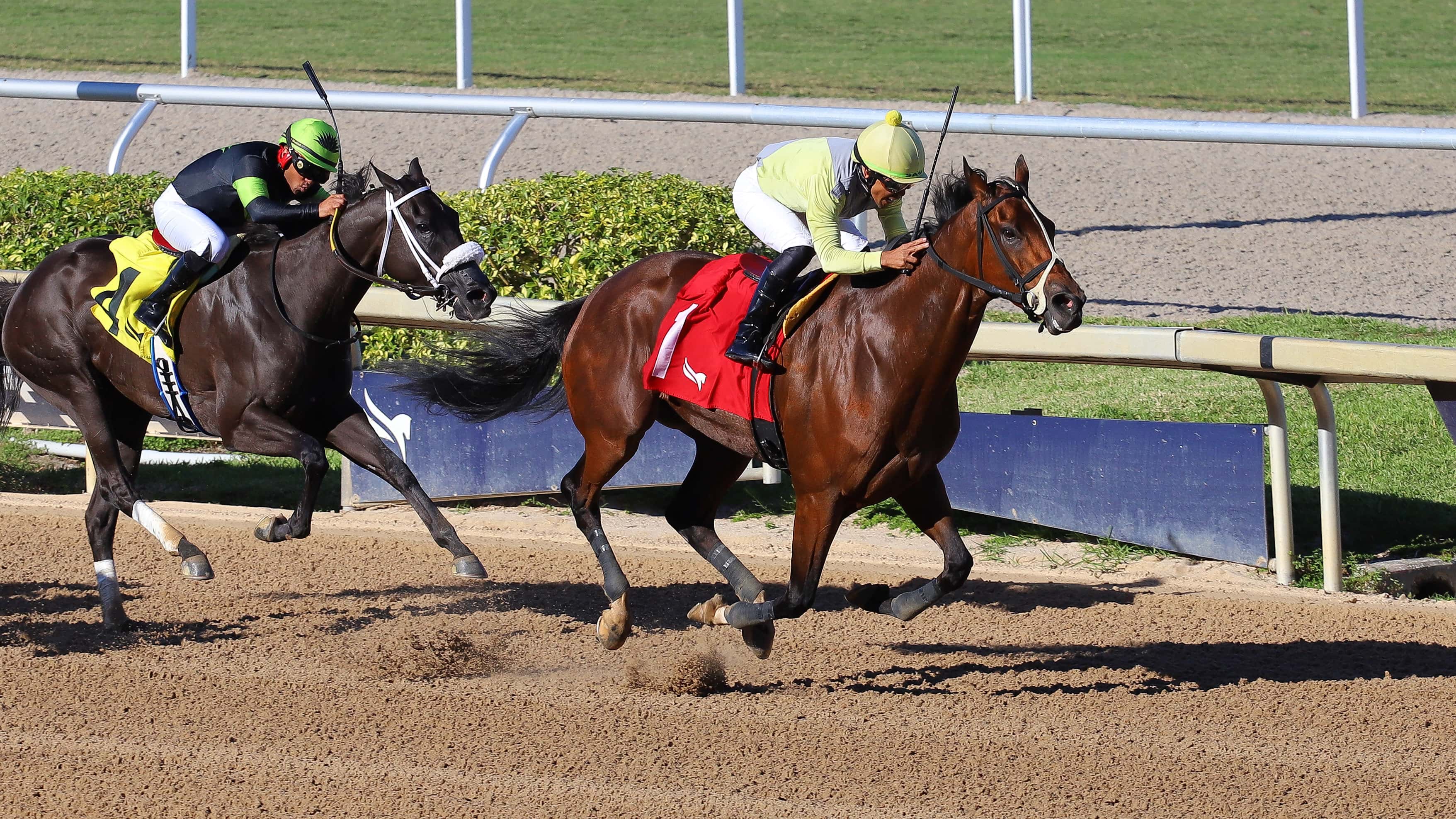 Runaway Diva vence en The Mo Green Handicap a las órdenes de Samy Camacho