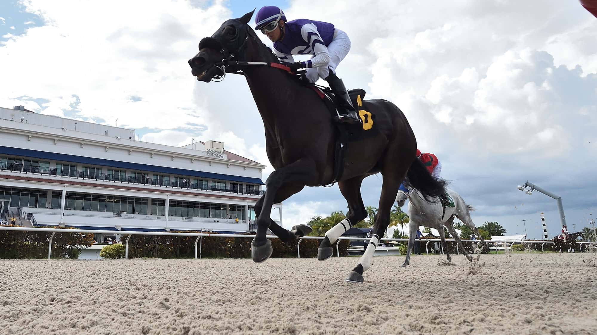 Time Passage the Soaring Softly-3