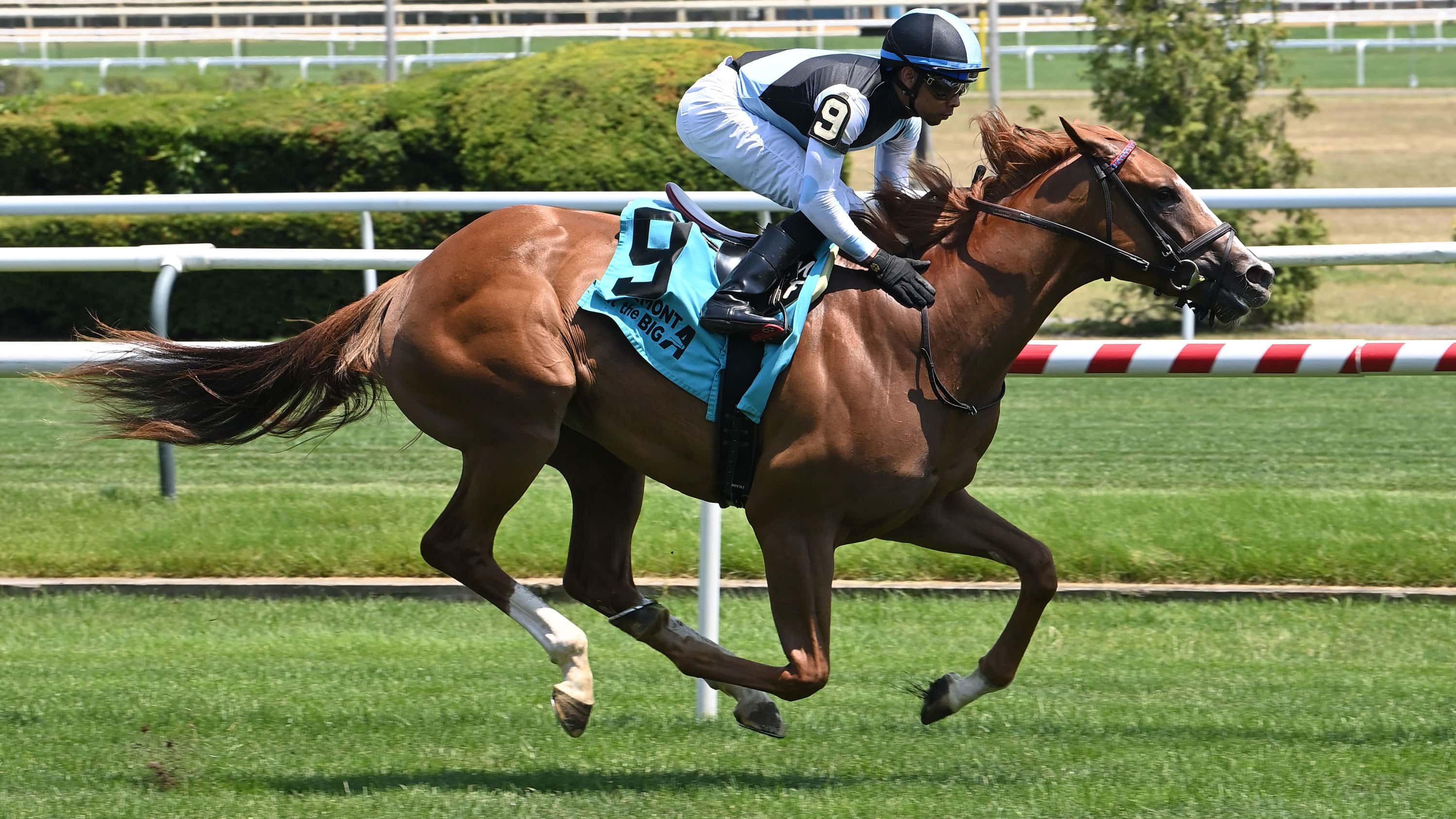 Motion Hoping for Home Cooking in Saturday’s Gallorette (G3)