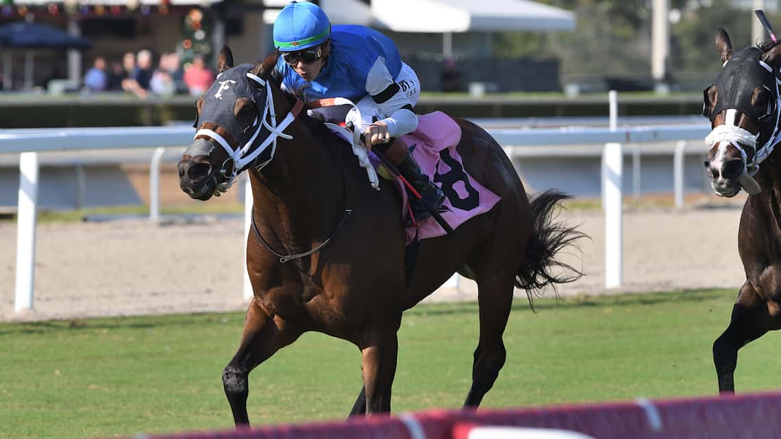 Reef-Runner-the-Janus