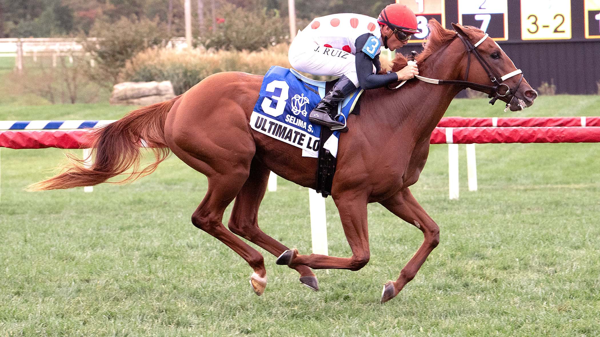 Ultimate Love Kicks Off 3YO Season in $125,000 Hilltop