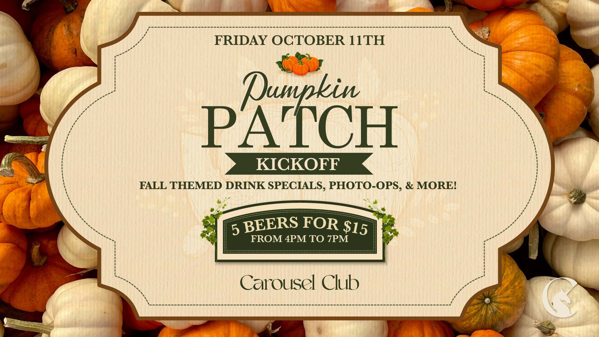 10.04-Pumpkin-Patch-Web-Banner background asset