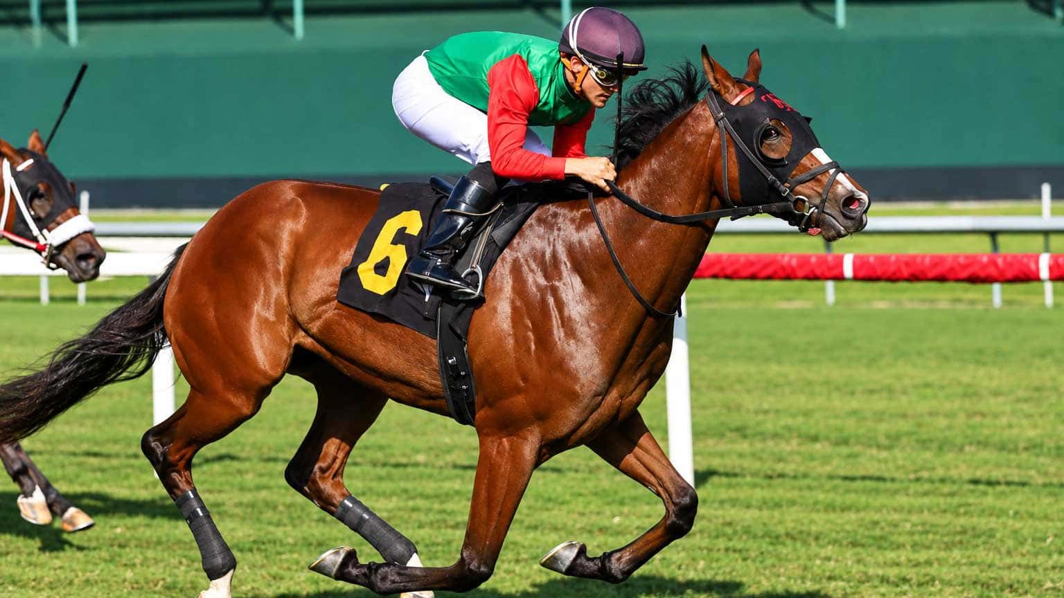 The-Hollywood-Beach-Stakes