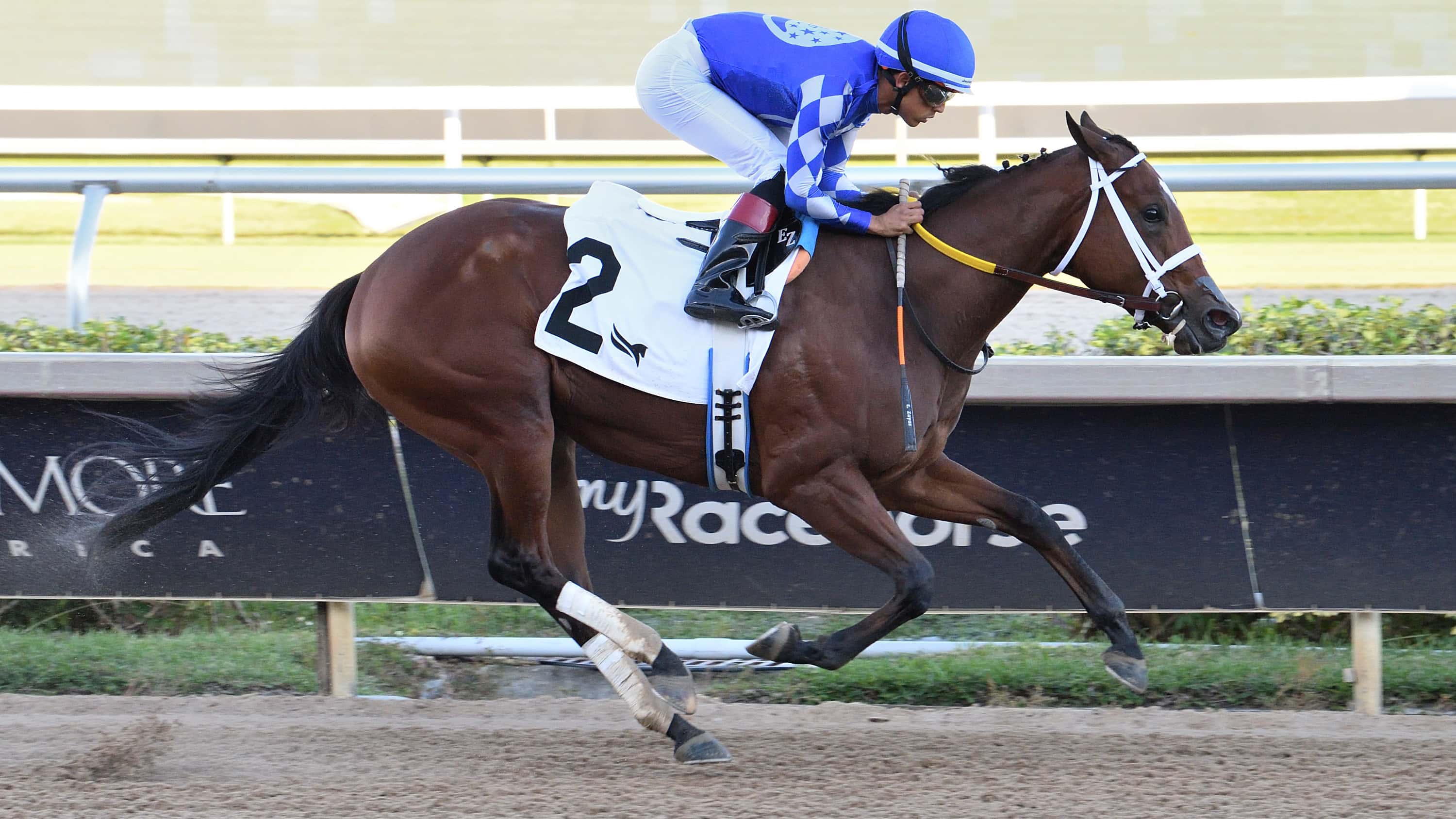 Tessellate-the-Juve-Fillies-Sprint-