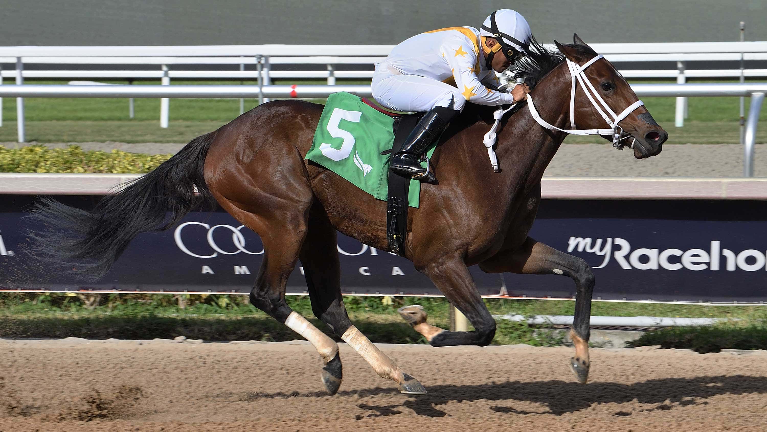 Miuccia-the-Game-Face