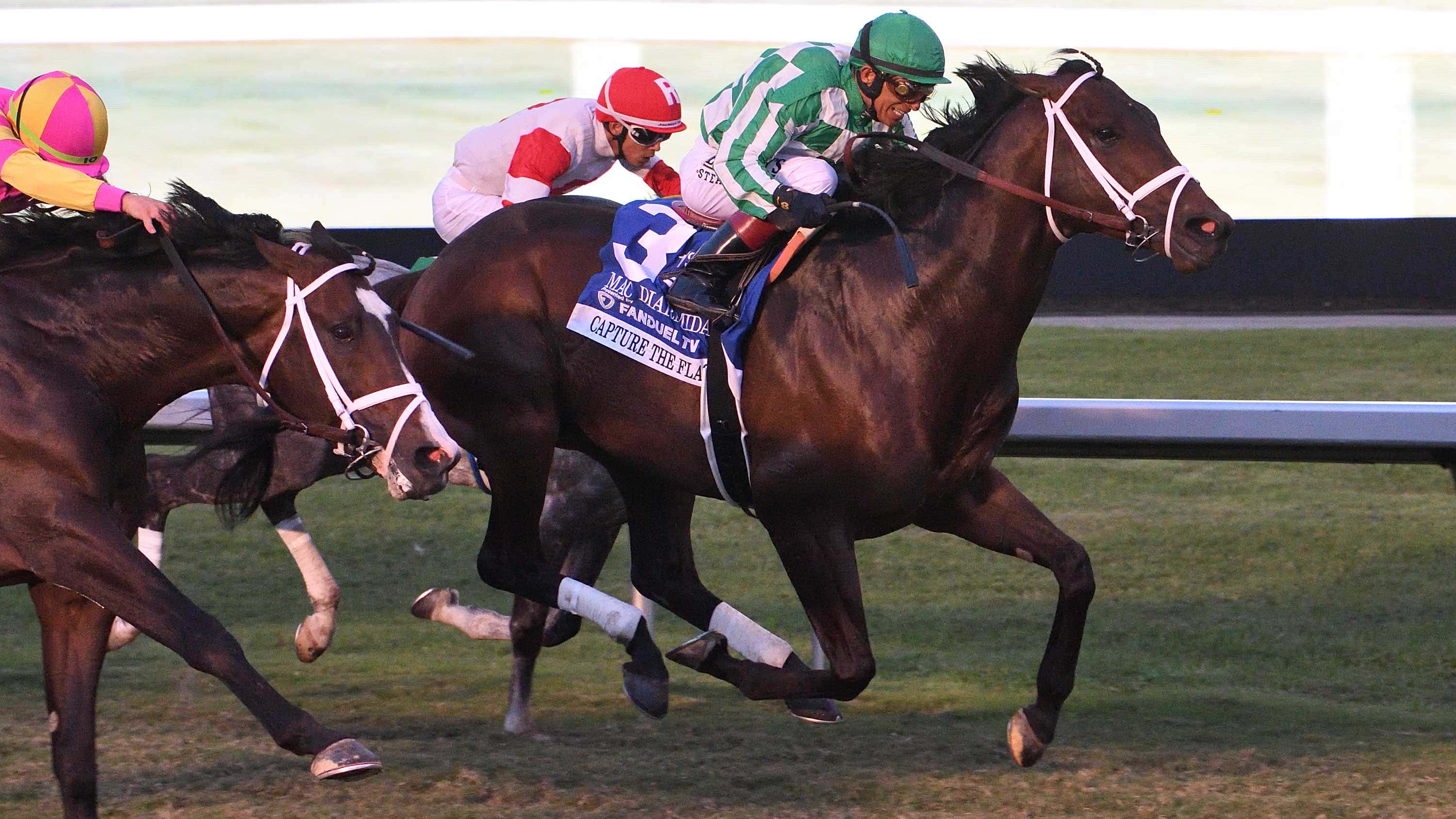 Capture-the-flag-the-mac-diarmida2