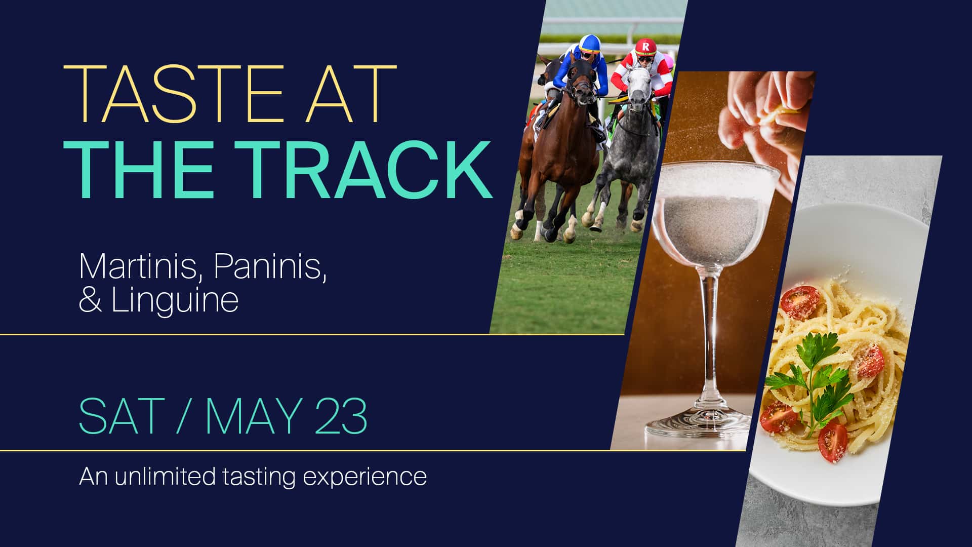 1920x1080 TV Martin Pani Lingui TaTT FINAL (1)(1) background asset