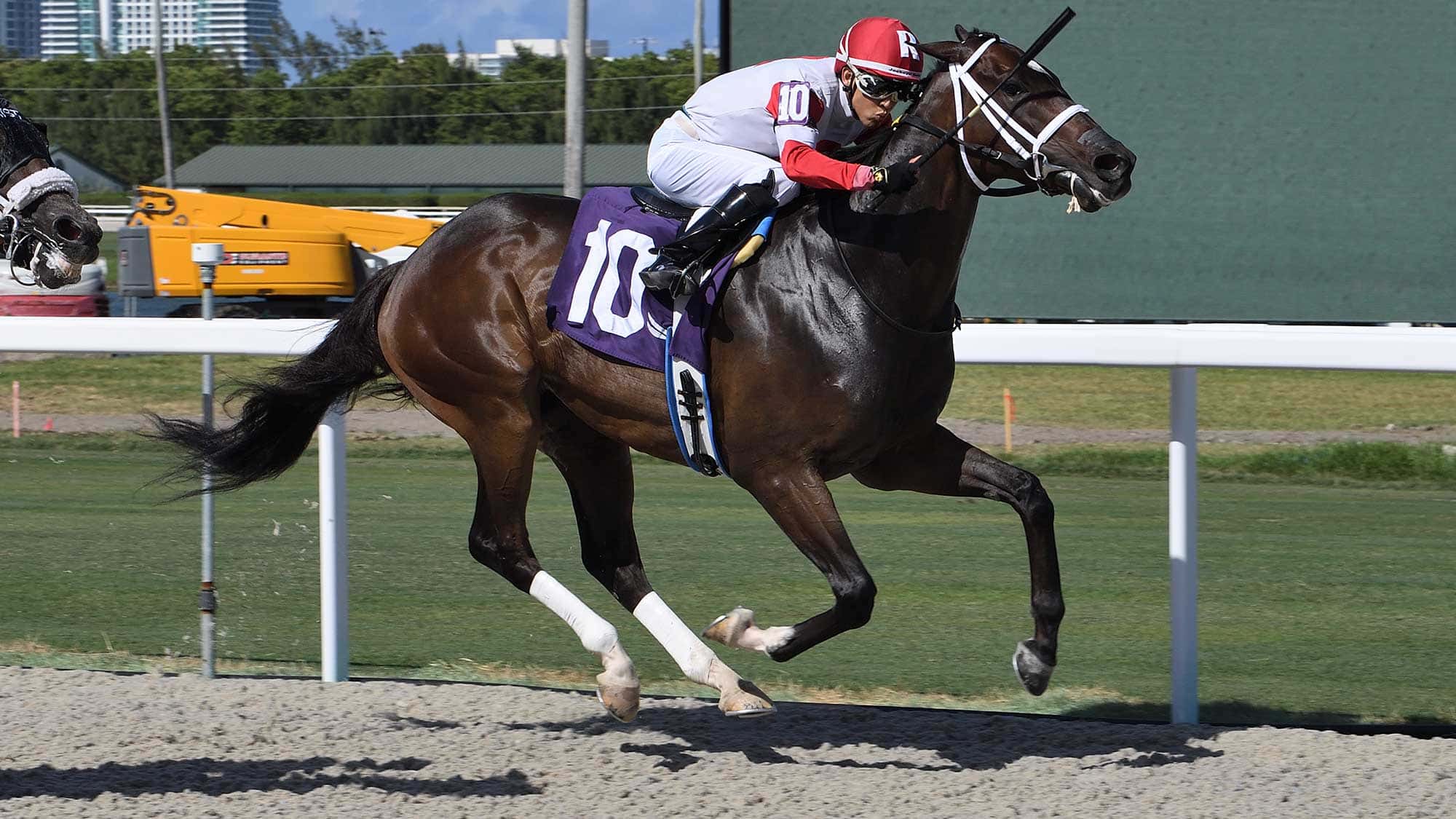 Chasing-Artie-the-Bob-Umphrey-Sprint-2