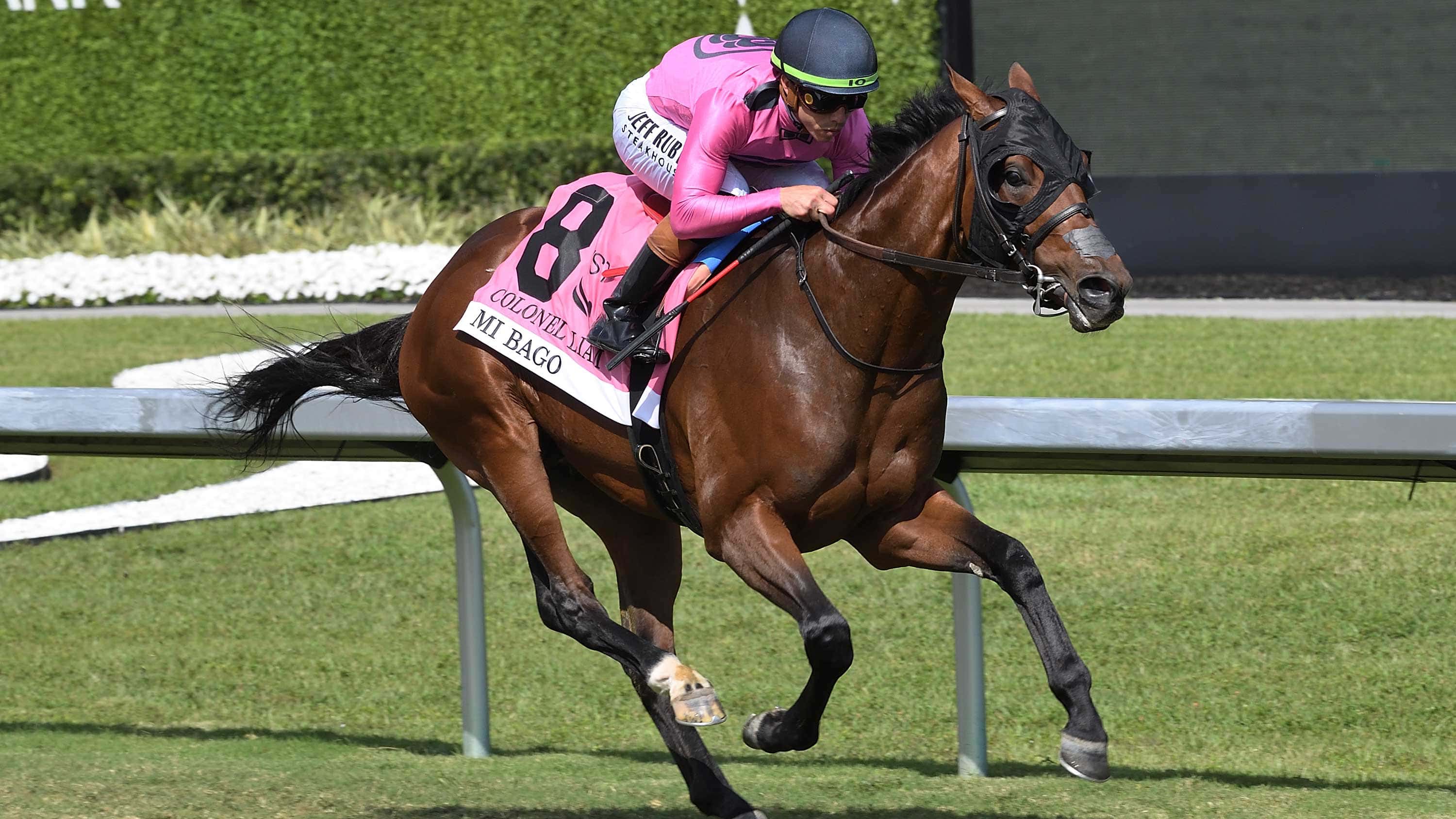 Mandatory Rainbow 6 Payout Sunday Estimated at $4 Million