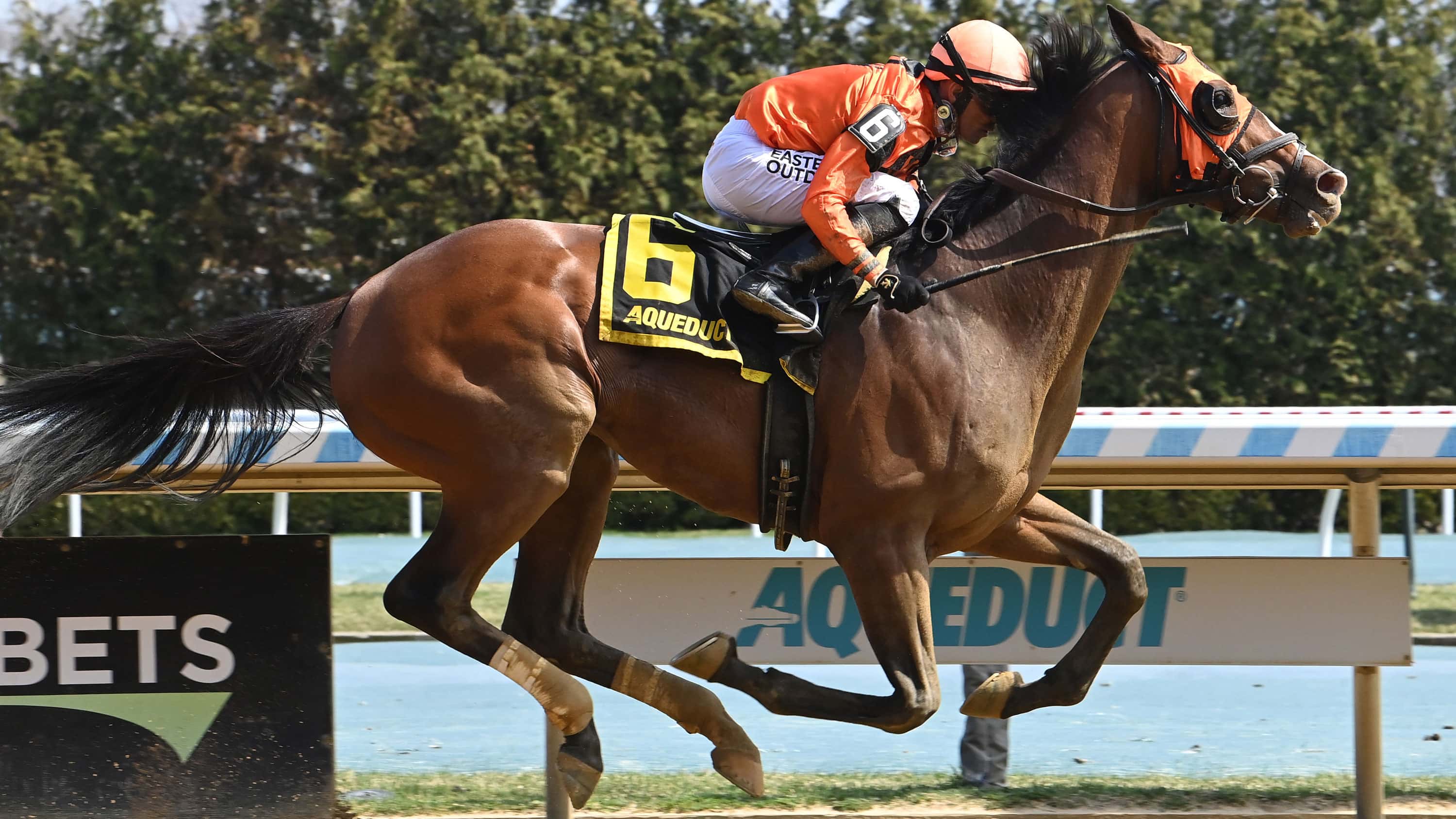 Yo Daddy Looks to Make the Grade in Pimlico Special (G3)