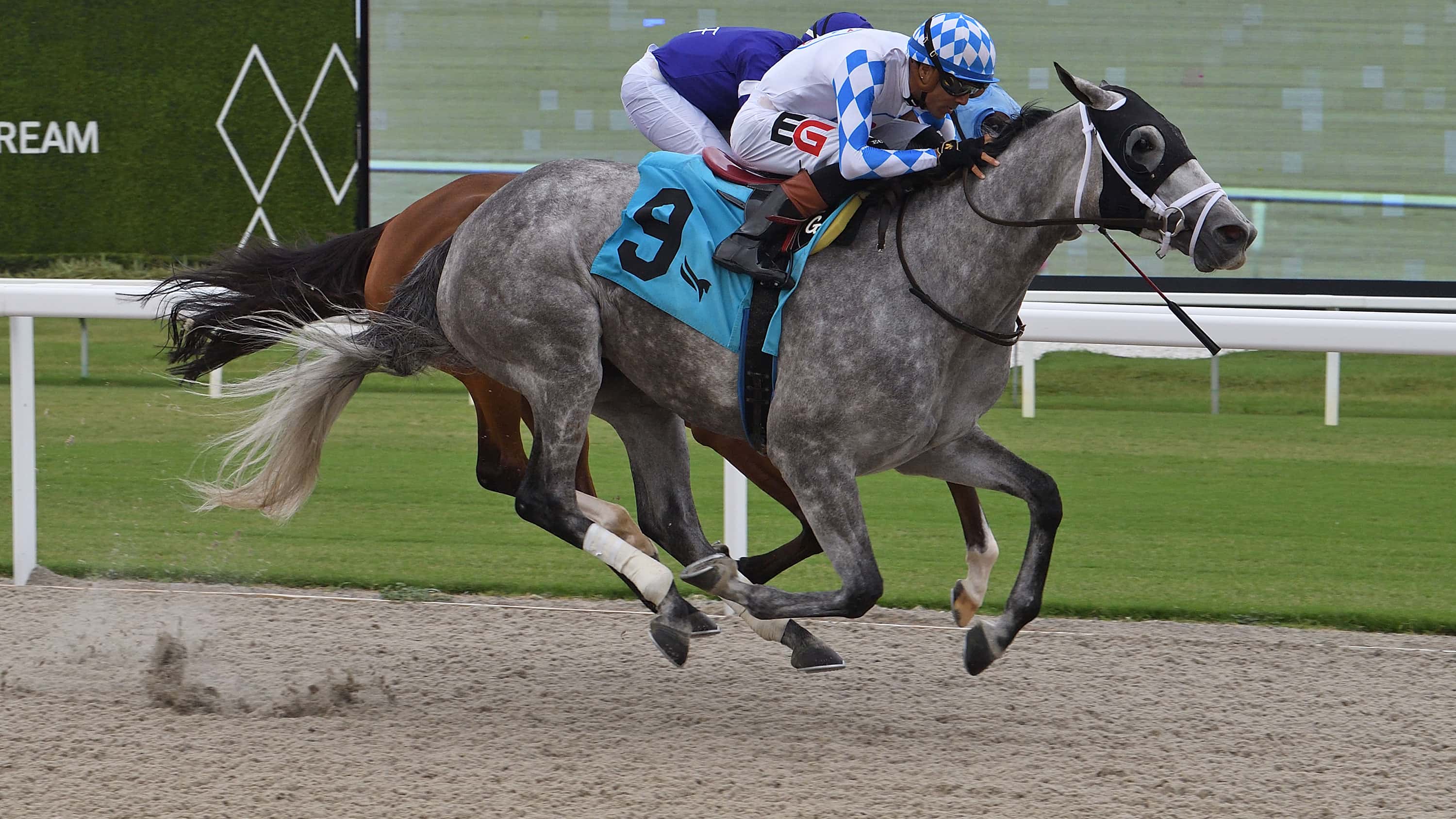 Vincey Girl Takes to Tapeta to Win $100,000 Powder Break