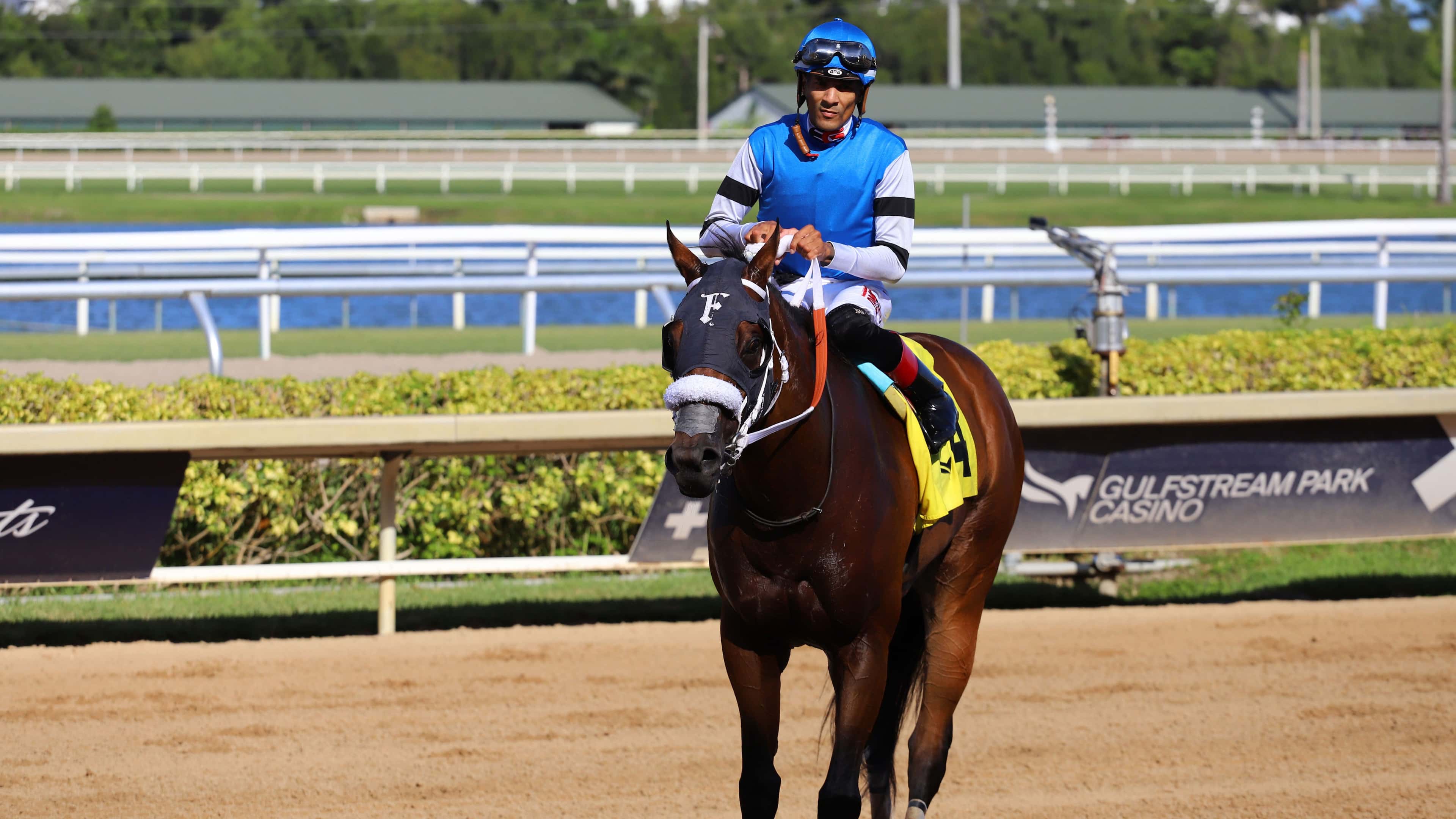Smile-Sprint-Stakes