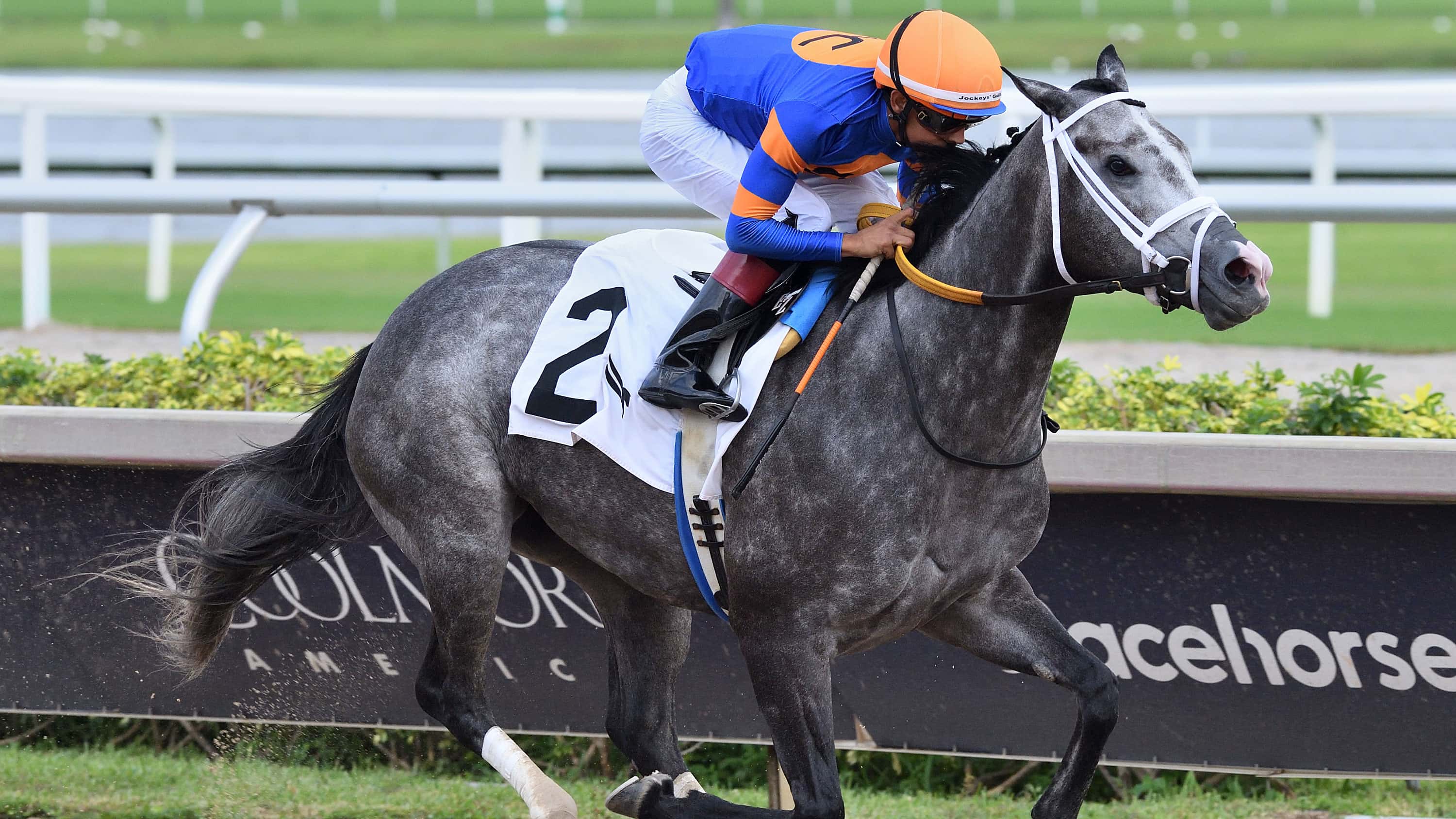 El Princess Rooney (G3) encabeza el calendario selectivo del Sunshine Meet